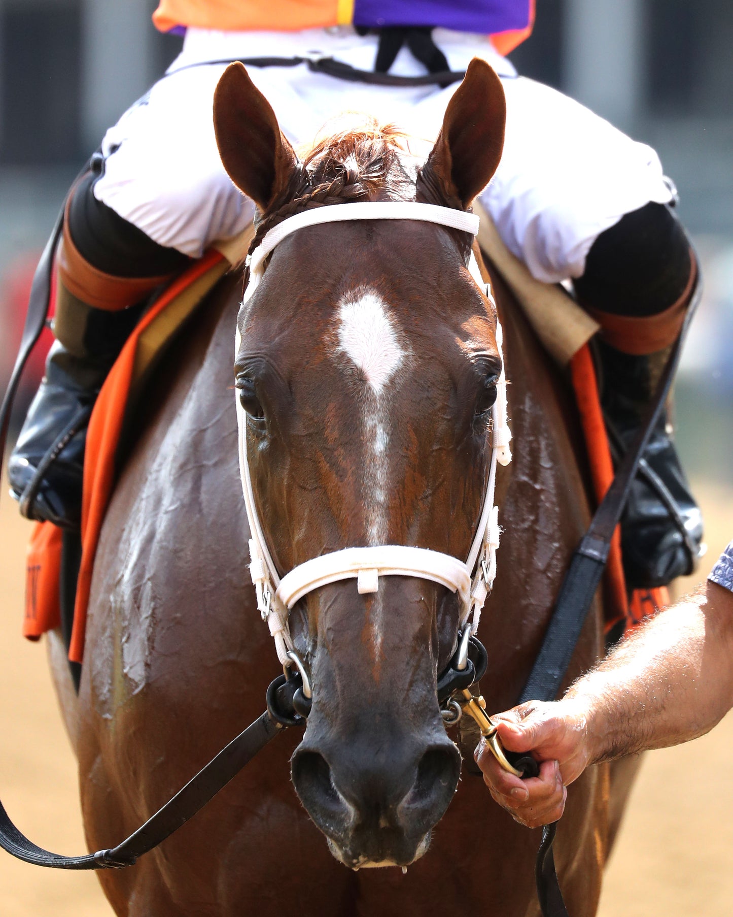 FURTHER ADO - The Matt Winn G3 - 06-07-26 - R08 - CD - Come Back 06