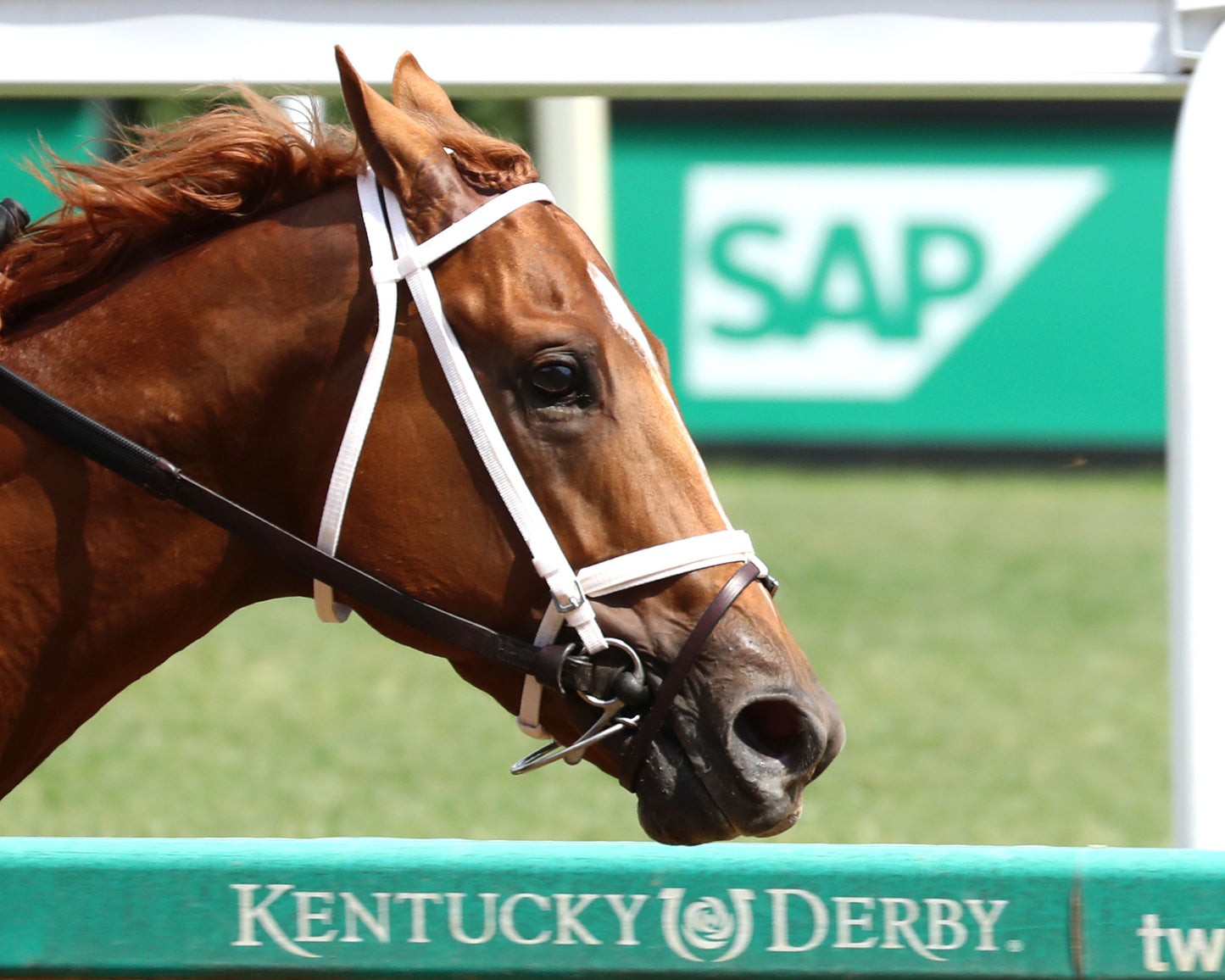 FURTHER ADO - The Matt Winn G3 - 06-07-26 - R08 - CD - Finish 06