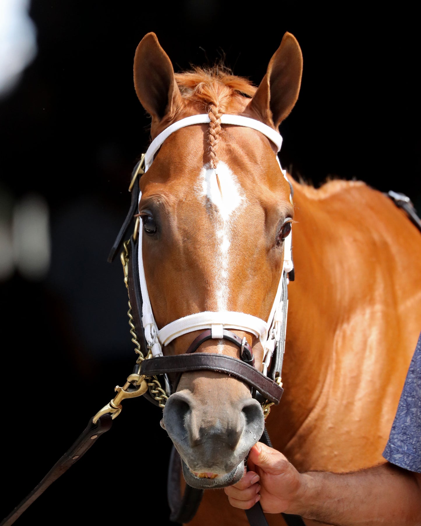 FURTHER ADO - The Matt Winn G3 - 06-07-26 - R08 - CD - Paddock 01