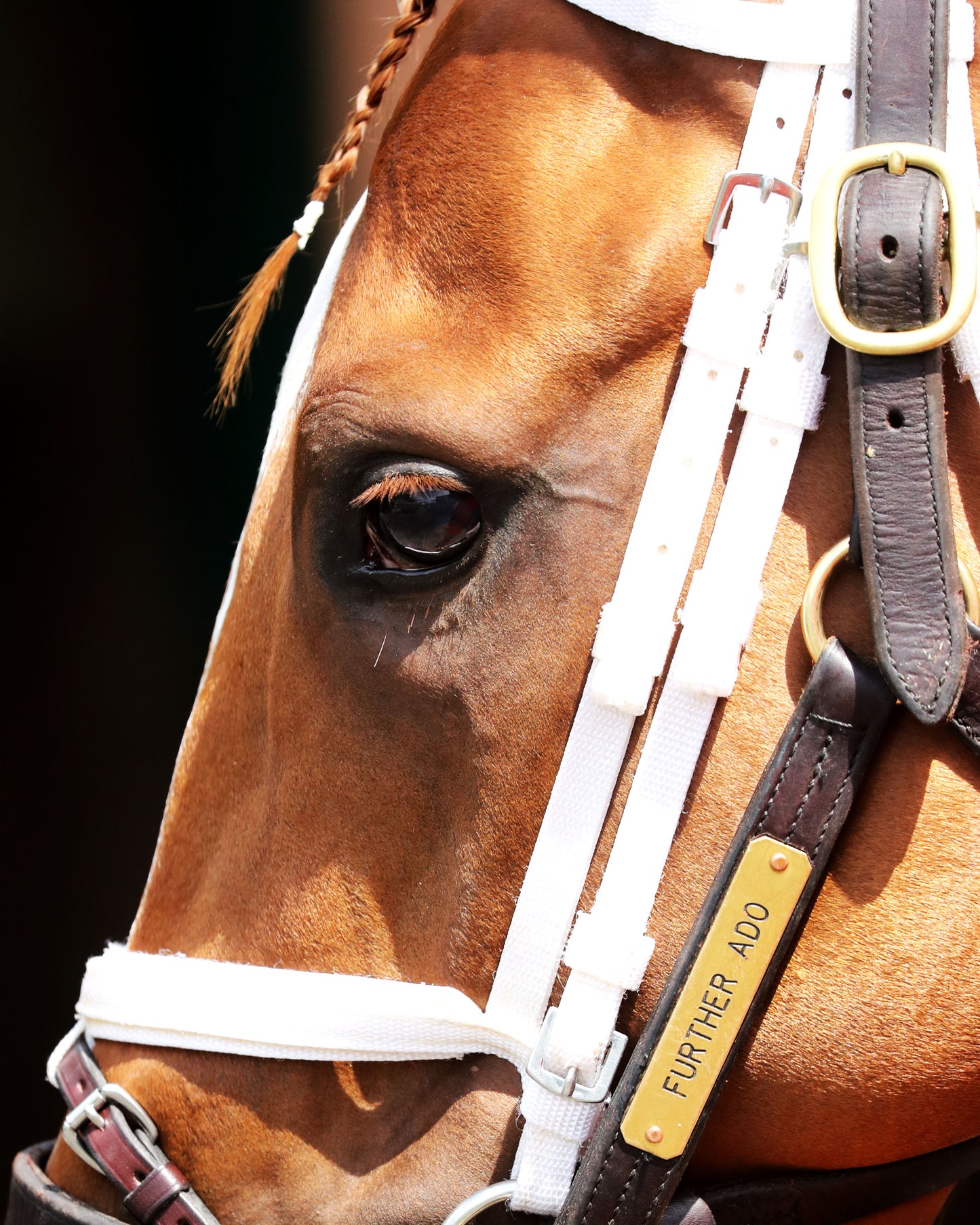 FURTHER ADO - The Matt Winn G3 - 06-07-26 - R08 - CD - Paddock 02