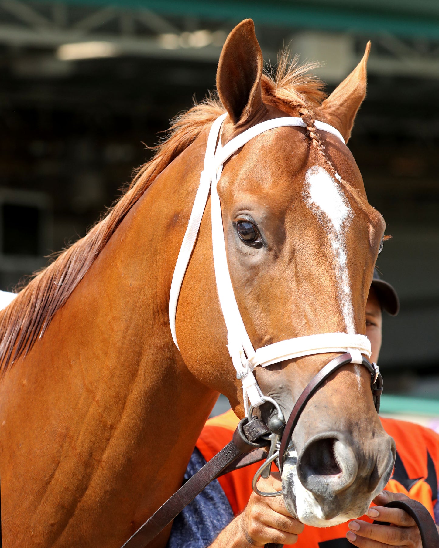 FURTHER ADO - The Matt Winn G3 - 06-07-26 - R08 - CD - Paddock 03