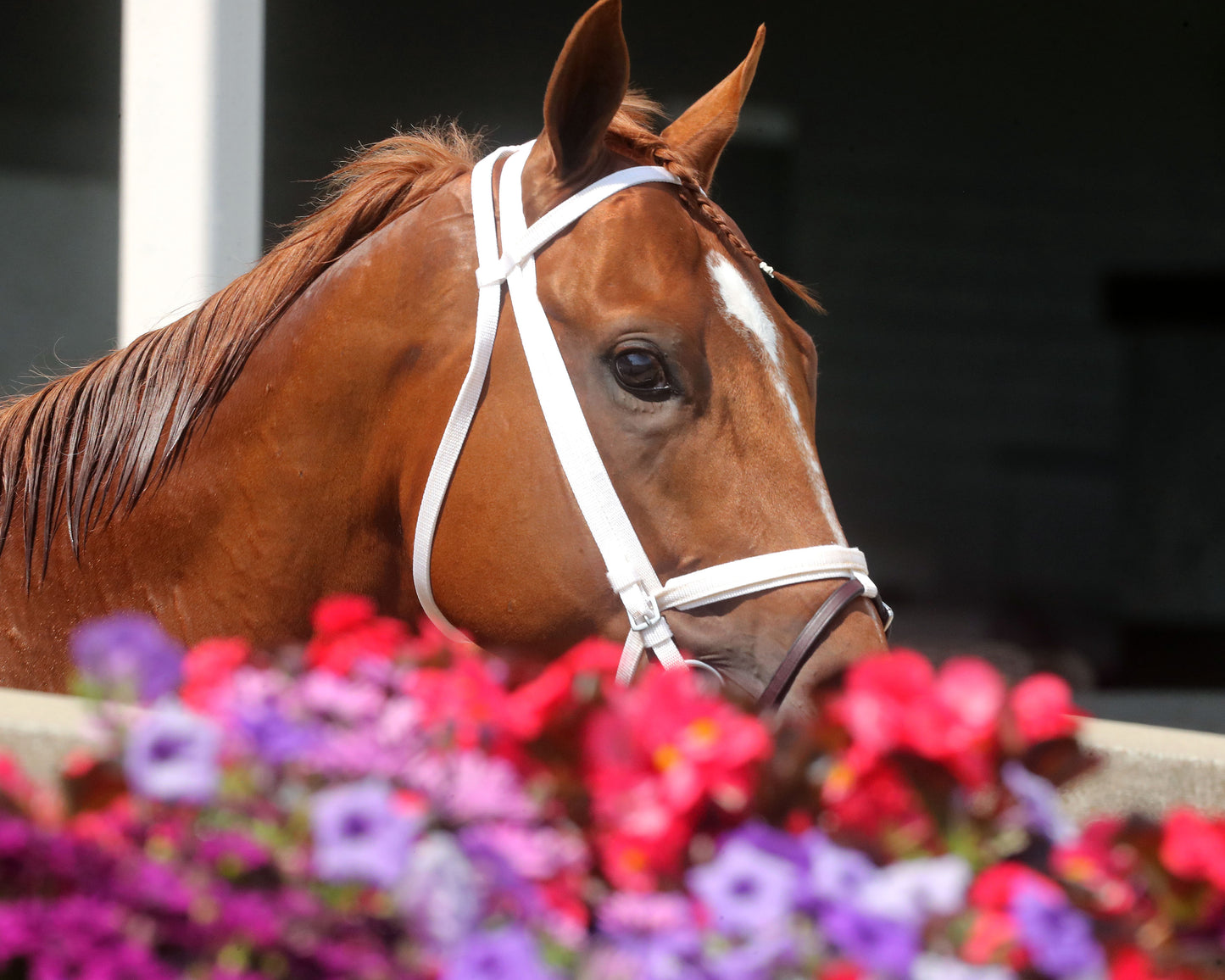 FURTHER ADO - The Matt Winn G3 - 06-07-26 - R08 - CD - Post Parade 01