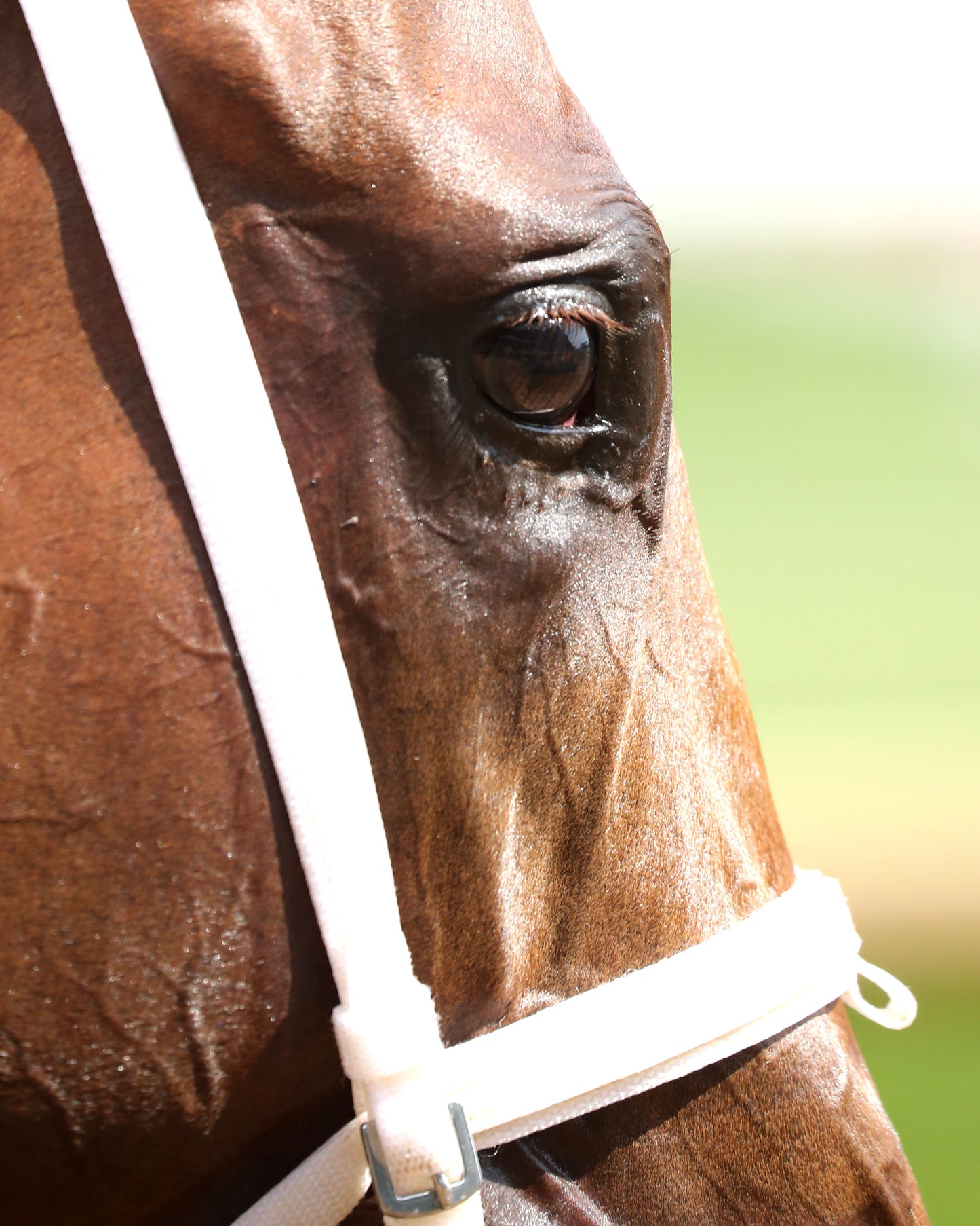 FURTHER ADO - The Matt Winn G3 - 06-07-26 - R08 - CD - Walk Back 01