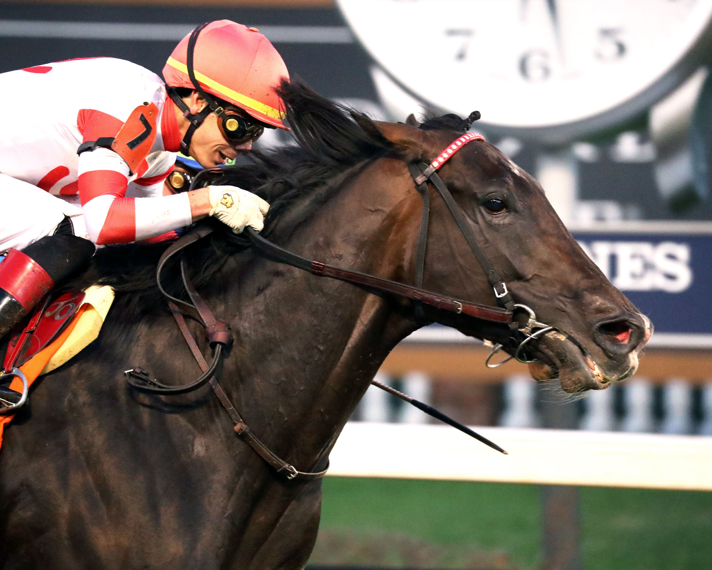 GIOCOSO - 112225 - Race 10 - CD - Finish 02