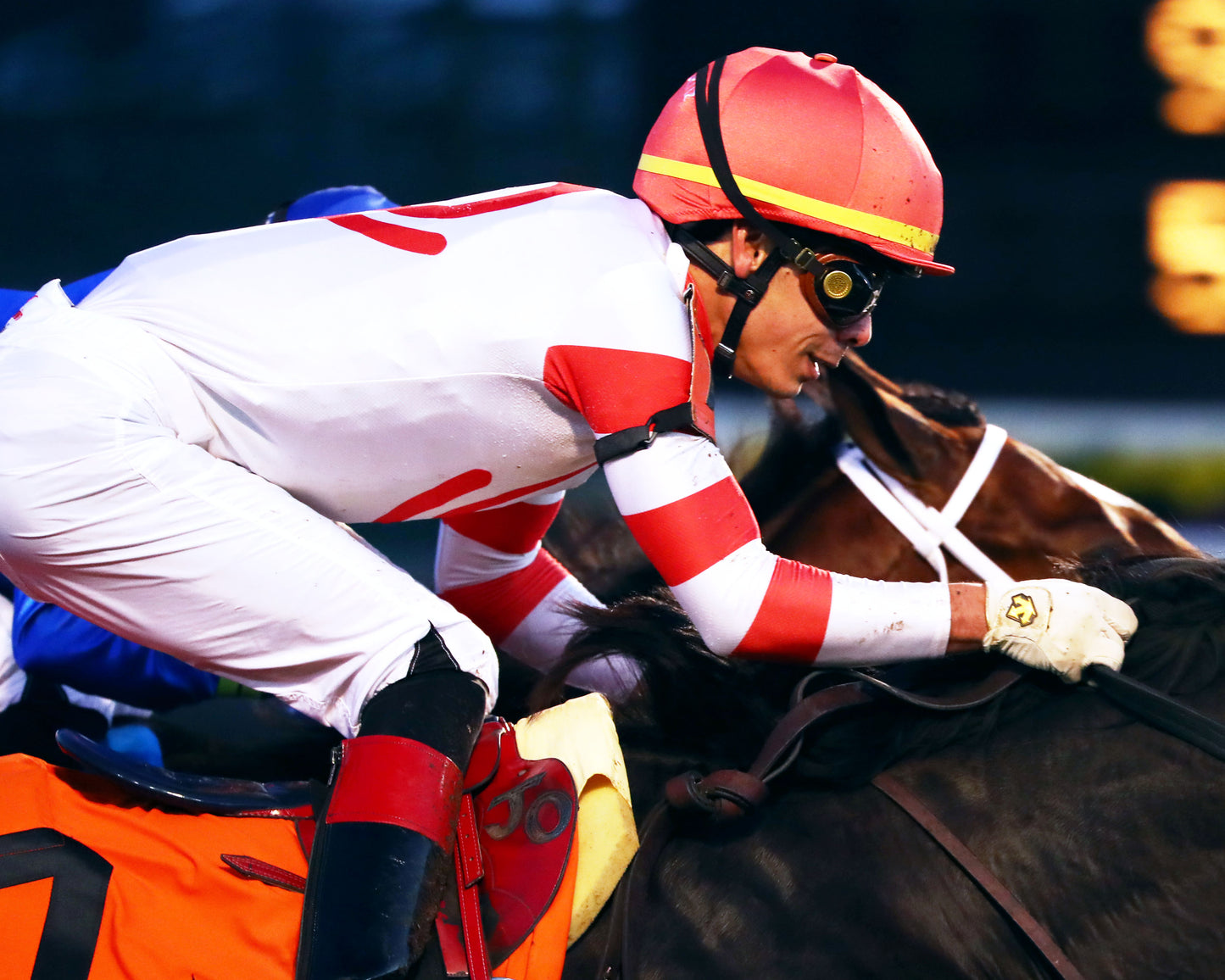 GIOCOSO - 112225 - Race 10 - CD - Finish 03