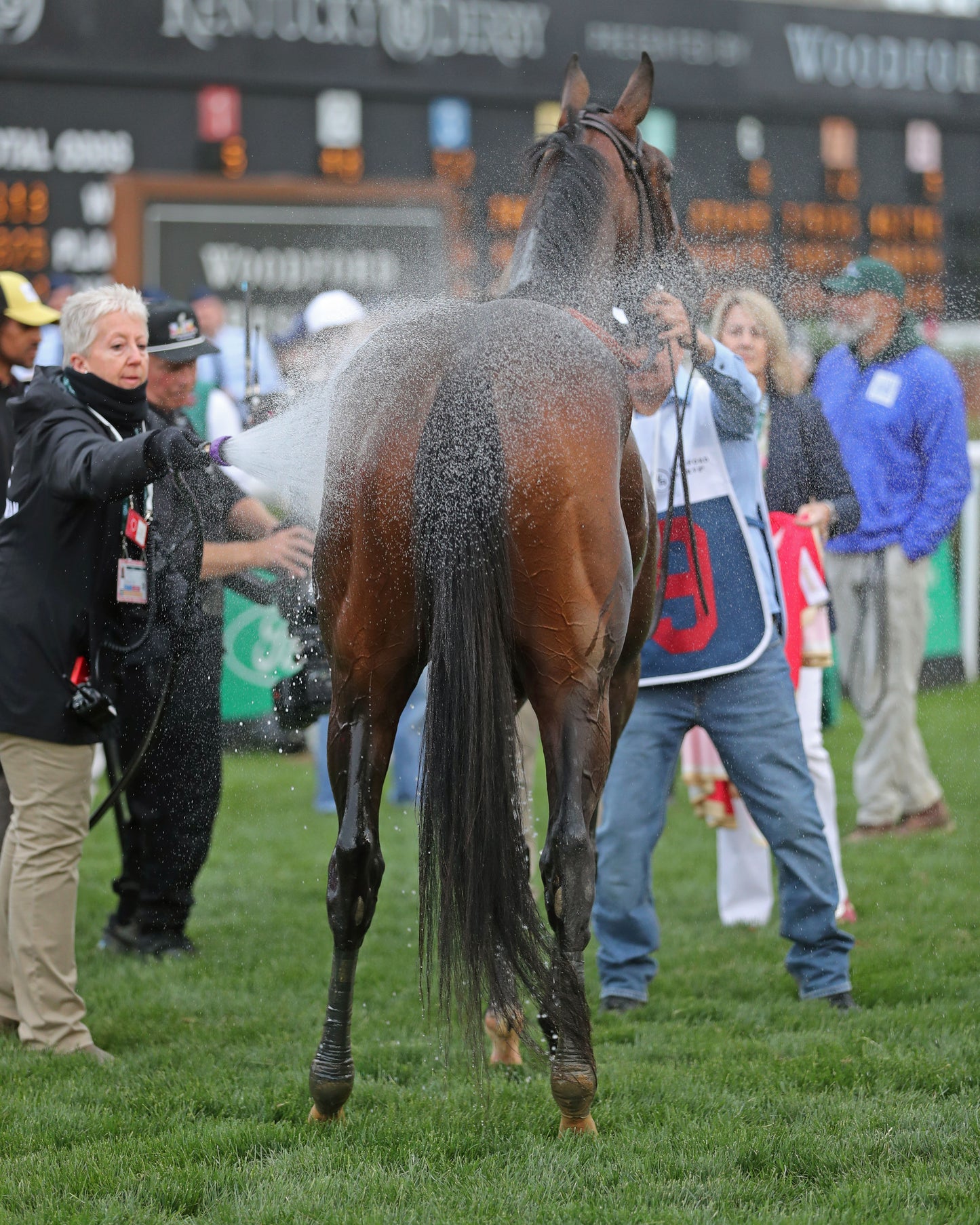 GOLDEN TEMPO - 050226 - Race 12 - CD The Kentucky Derby G1- 152nd Running - Bath 01 - Coady Media - Kurtis Coady Photography