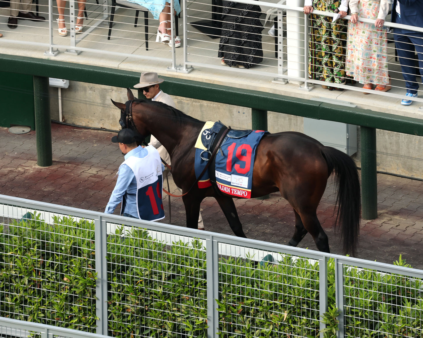 GOLDEN TEMPO - 050226 - Race 12 - CD The Kentucky Derby G1- 152nd Running - Paddock 02 - Coady Media - Kurtis Coady Photography