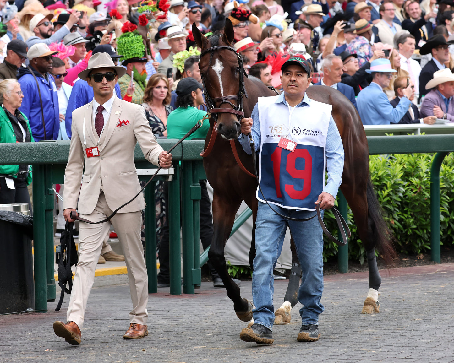 GOLDEN TEMPO - 050226 - Race 12 - CD The Kentucky Derby G1 - 152nd Running - Paddock 04 - Coady Media - Kurtis Coady Photography