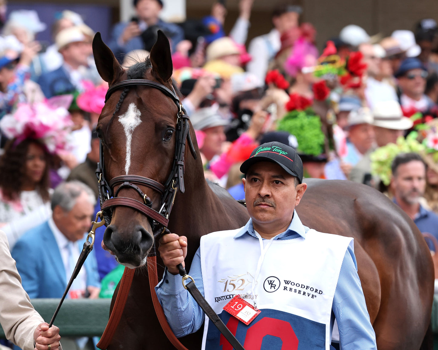 GOLDEN TEMPO - 050226 - Race 12 - CD The Kentucky Derby G1 - 152nd Running - Paddock 05 - Coady Media - Kurtis Coady Photography