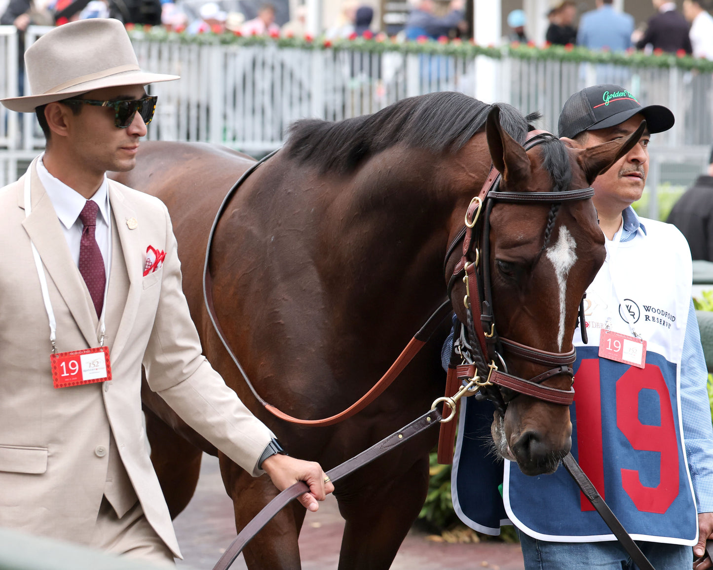 GOLDEN TEMPO - 050226 - Race 12 - CD The Kentucky Derby G1 - 152nd Running - Paddock 10 - Coady Media - Kurtis Coady Photography