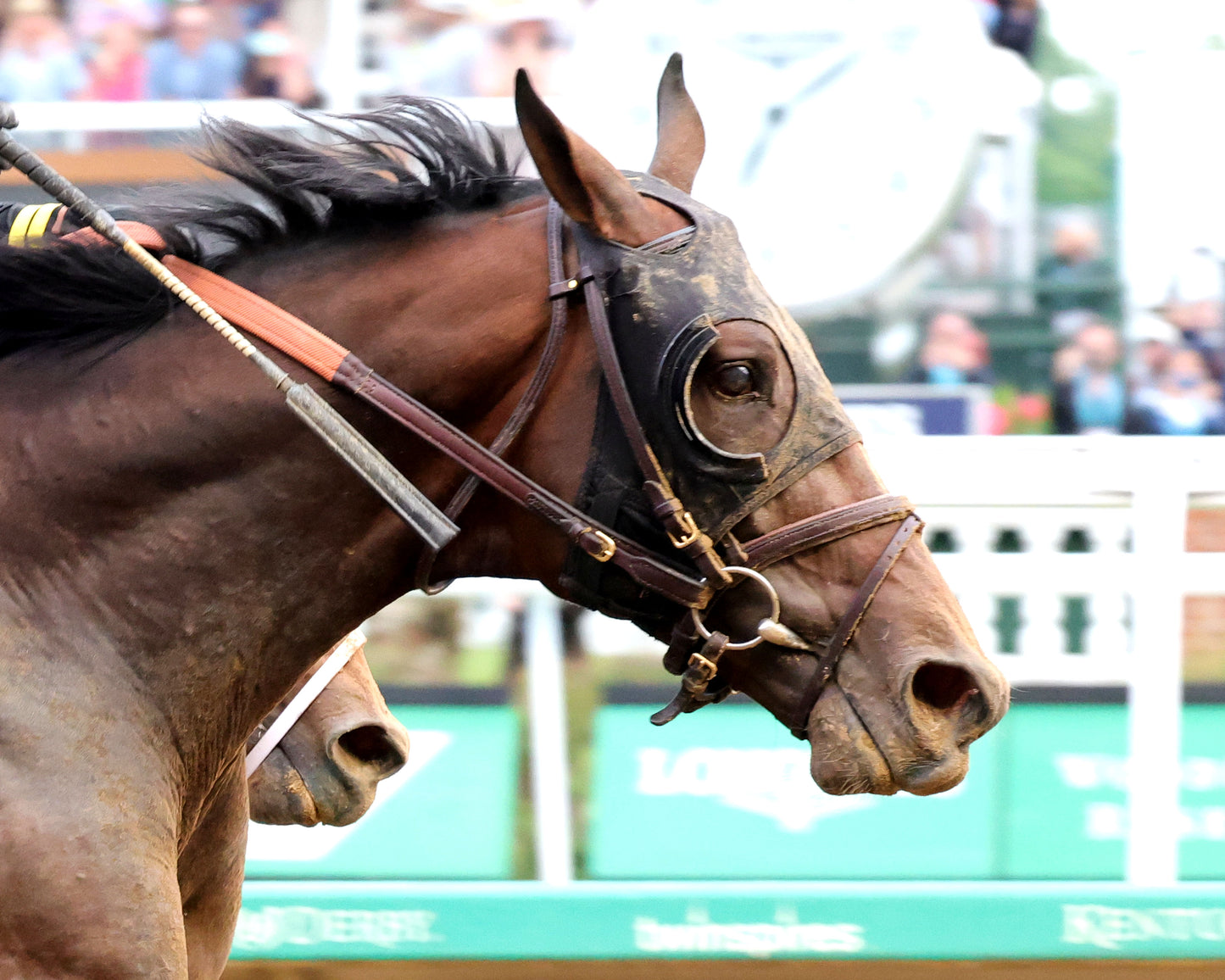 GOLDEN TEMPO - 050226 - Race 12 - CD The Kentucky Derby G1- 152nd Running - Tight Finish 03 - Coady Media - Kurtis Coady Photography