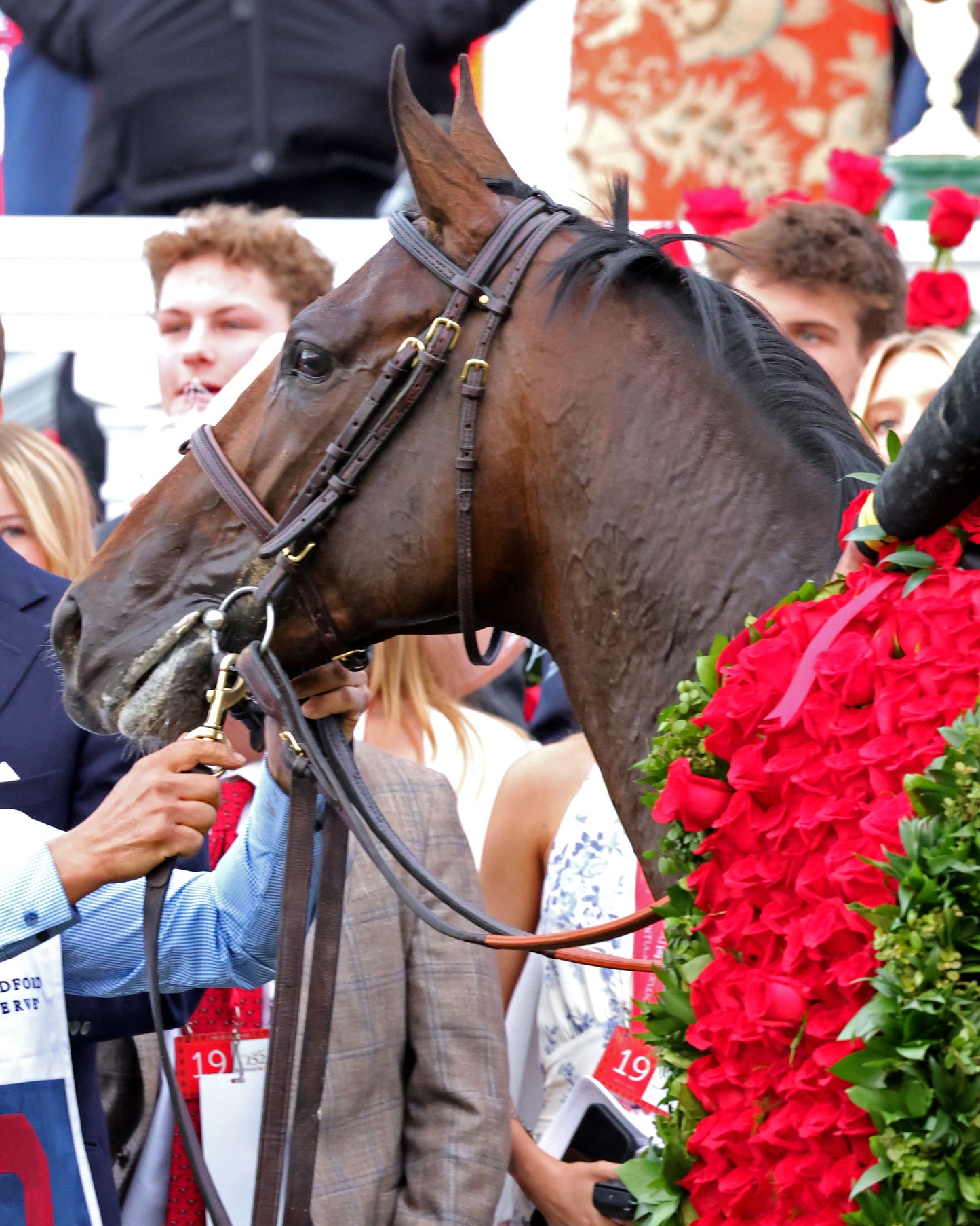 GOLDEN TEMPO - 050226 - Race 12 - CD The Kentucky Derby G1- 152nd Running - Winners Circle 07 - Coady Media - Kurtis Coady Photography