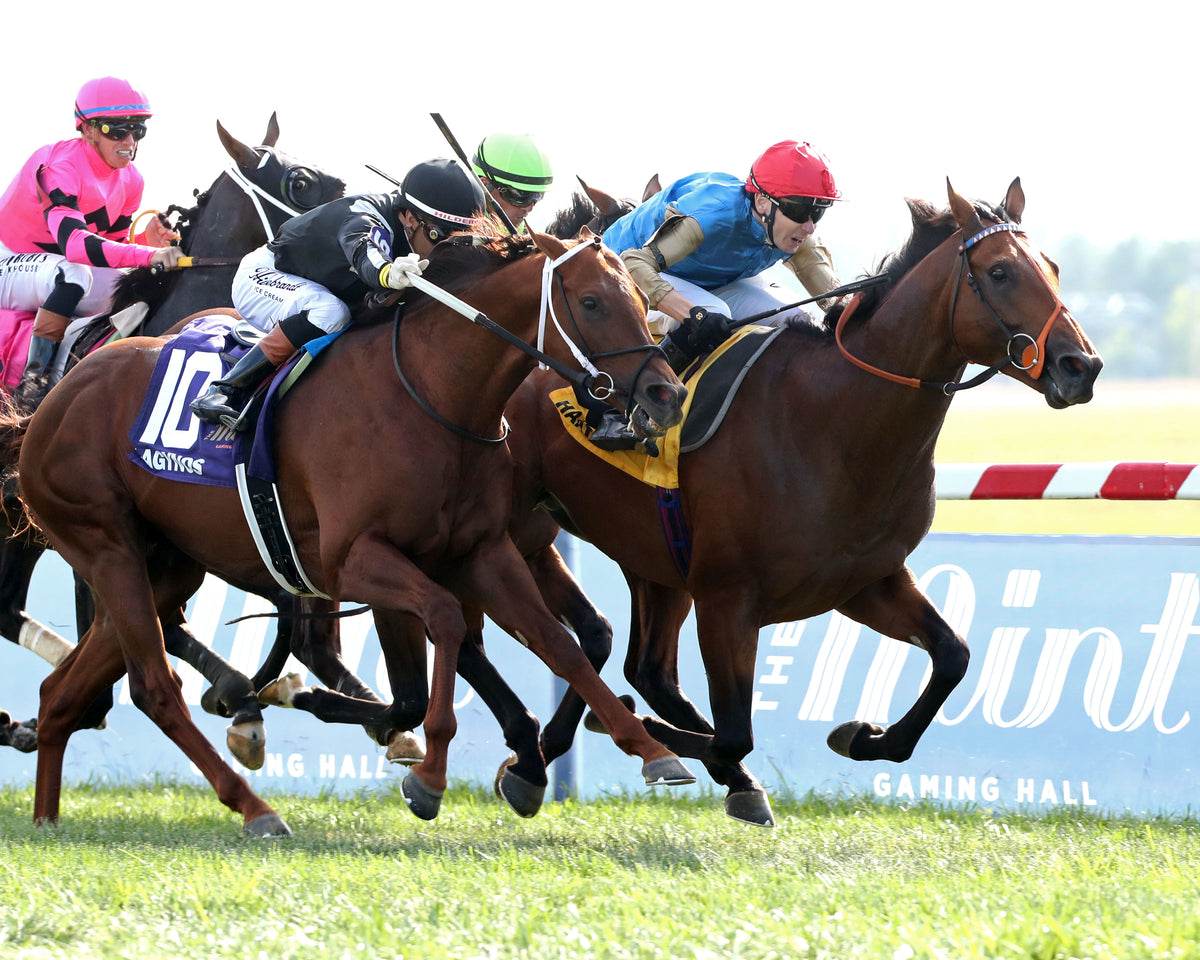 HAATEM - The Mint Millions Invitational G3 - 09-07-26 - R10 - KD - Finish 02