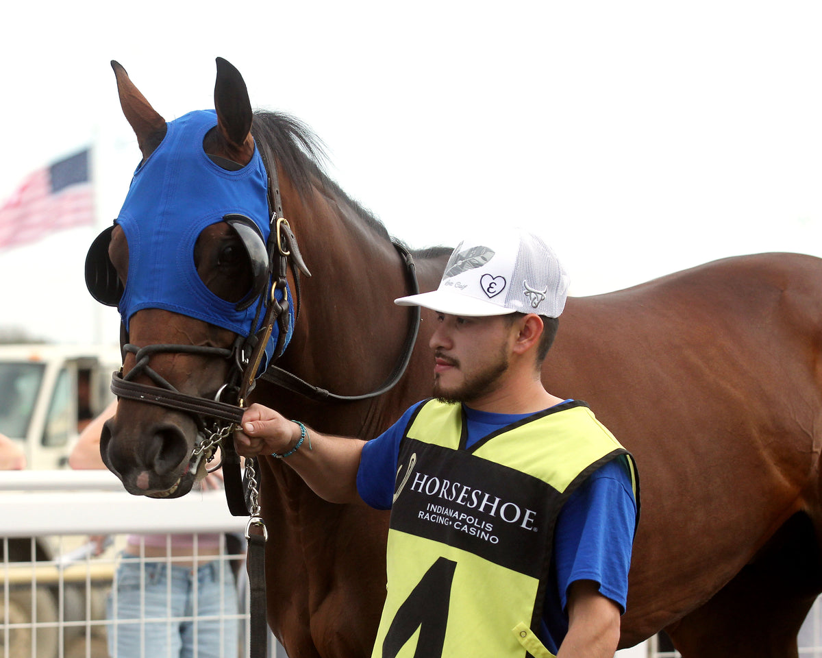 HARD LUCK PRAYER - ITOBA Stallion Season - 13th Running - 09-30-26 - R08 - Horseshoe Indiana - Paddock 01 - Casey Cable