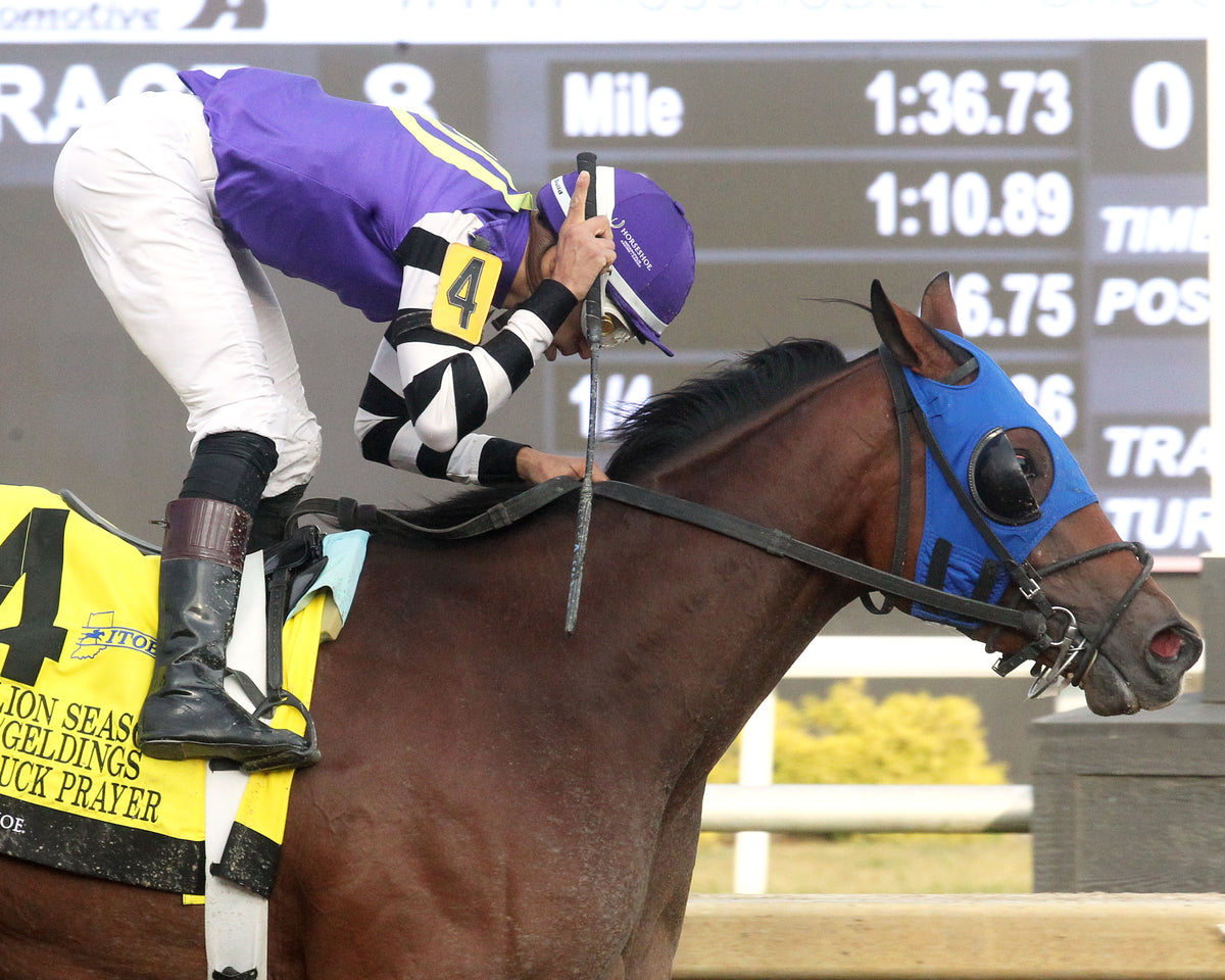 HARD LUCK PRAYER - ITOBA Stallion Season - 13th Running - 09-30-26 - R08 - Horseshoe Indiana - Tight Finish 01 - Casey Cable