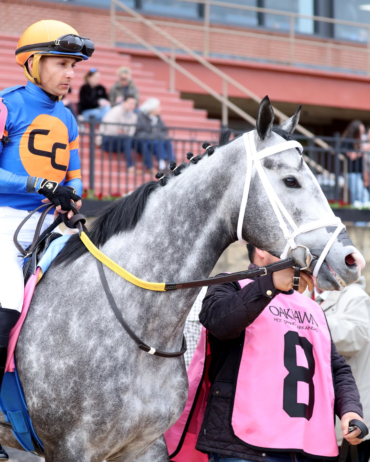 HAULIN ICE - Downthedustyroad Breeder's Stakes - 02-20-26 - R08 - OP - Post Parade 04 - Coady Media - Kurtis Coady Photography