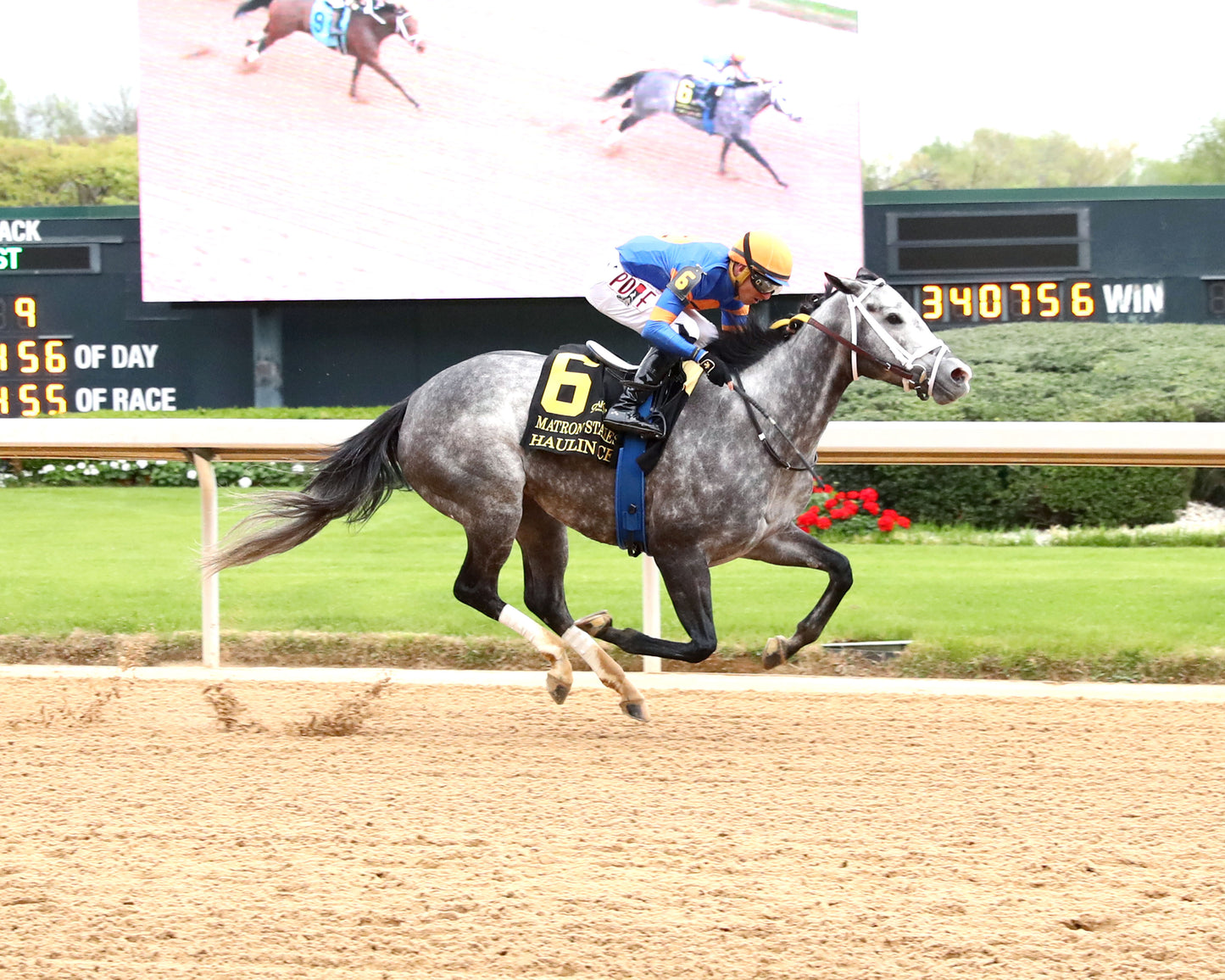 HAULIN ICE - Matron Stakes - 03-27-26 - R09 - OP - Finish 01 - Coady Media - Kurtis Coady Photography