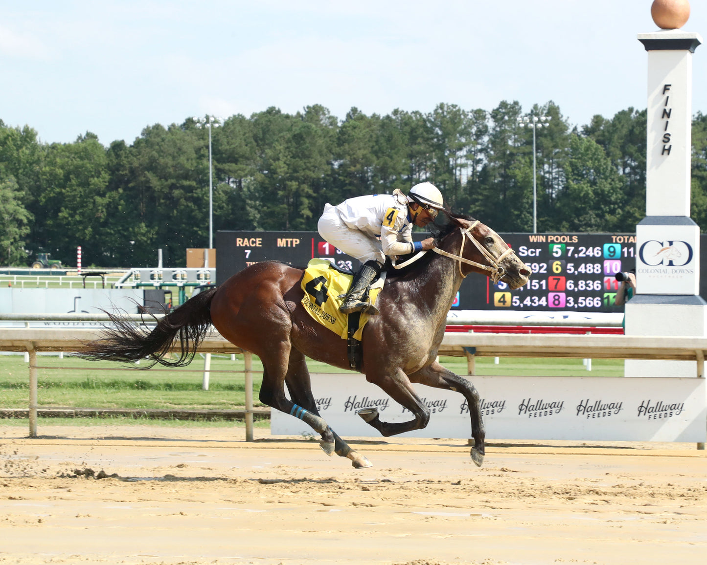 I FEEL LUCKY - The Hickory Tree Stakes - 08-02-26 - R07 - CNL - Finish 01