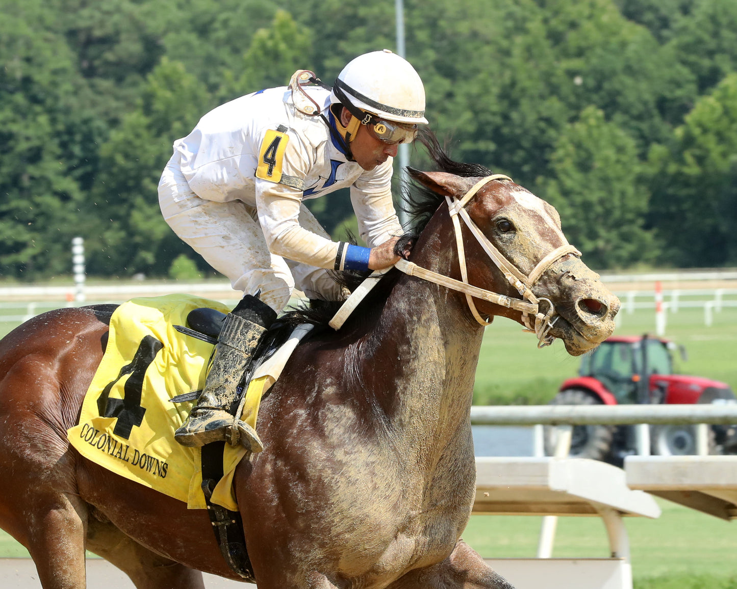 I FEEL LUCKY - The Hickory Tree Stakes - 08-02-26 - R07 - CNL - Finish 03