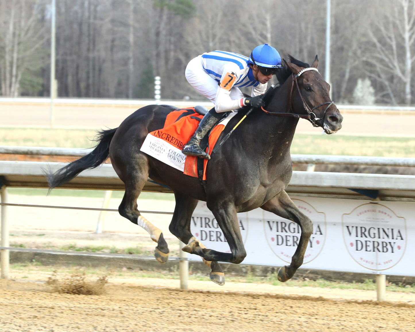 INCREDIBOLT - The Virginia Derby - 03-14-26 - R09 - CNL - Finish 02 - Coady Media - Kurtis Coady Photography