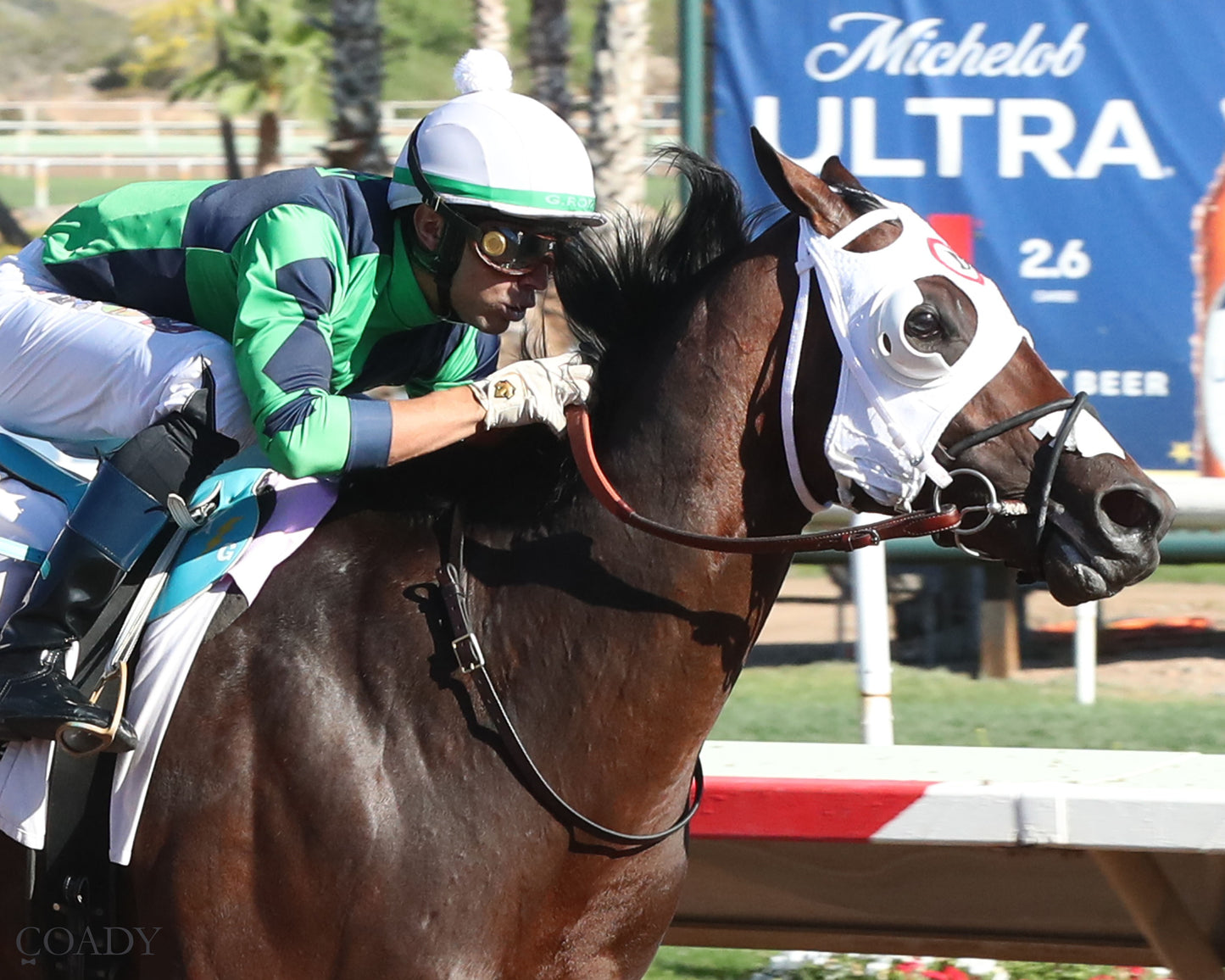 INDEPENDENCE RISE - Turf Paradise Derby - 03-21-26 - R05 - Finish - Coady Media - Kurtis Coady Photography