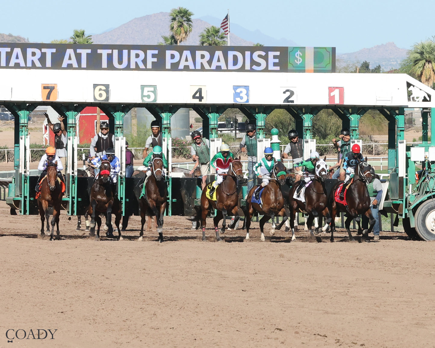 INDEPENDENCE RISE - Turf Paradise Derby - 03-21-26 - R05 - Starting Gate - Coady Media - Kurtis Coady Photography