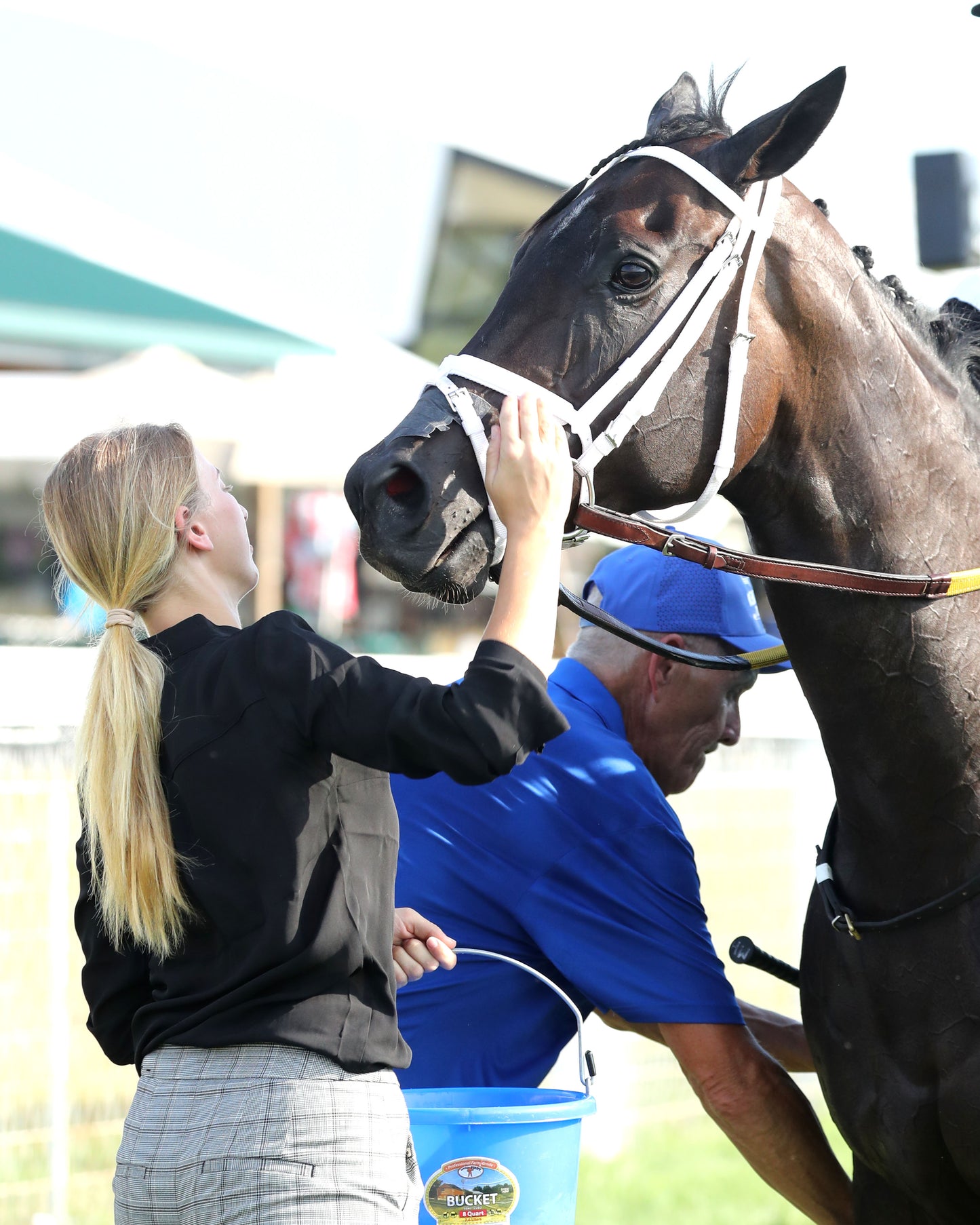 IN OUR TIME - Kentucky Downs Ladies Turf Sprint - G1 - 08-29-26 - R07 - KD - Come Back 02