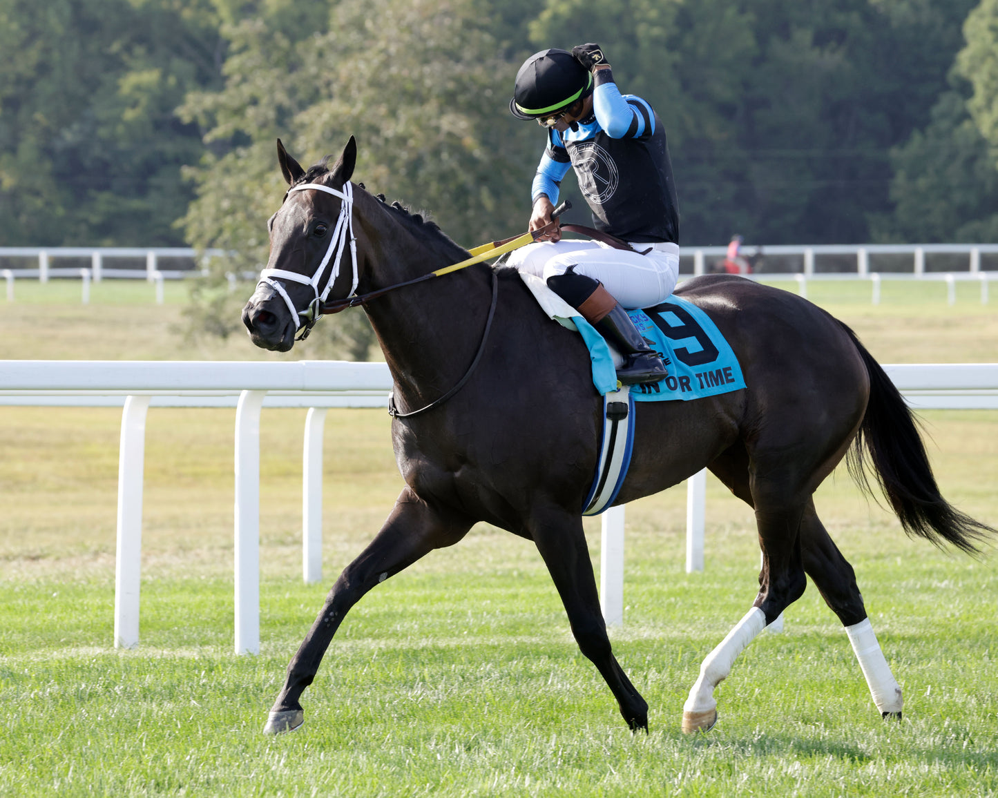 IN OUR TIME - Kentucky Downs Ladies Turf Sprint - G1 - 08-29-26 - R07 - KD - Come Back 04