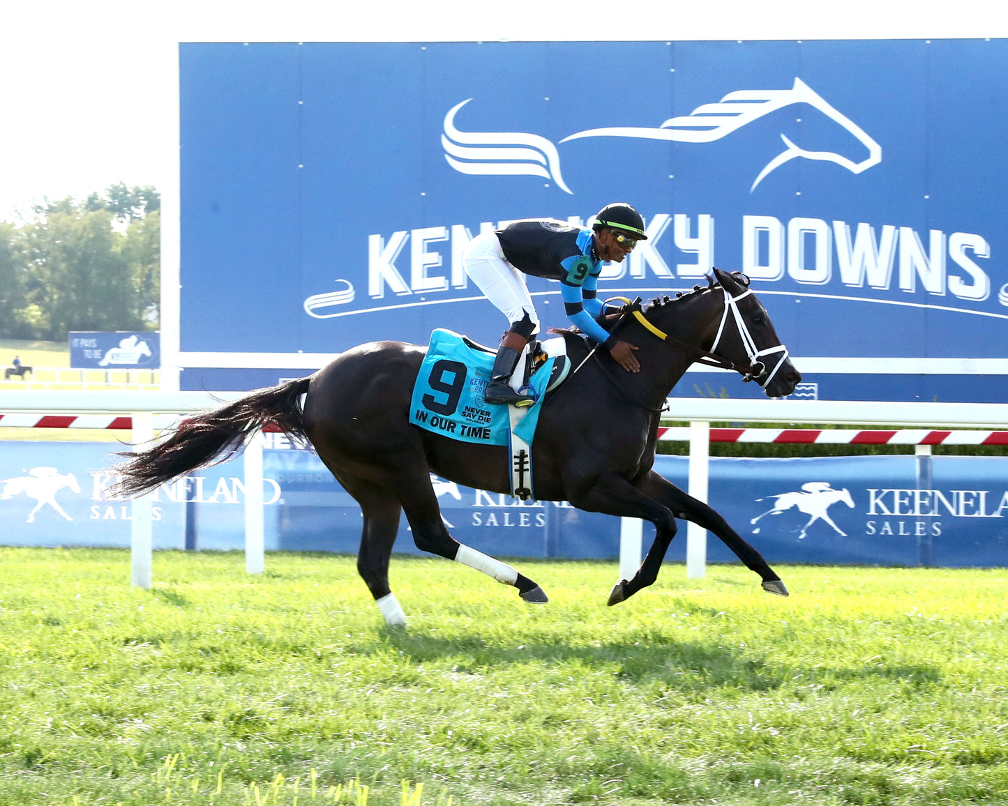 IN OUR TIME - Kentucky Downs Ladies Turf Sprint - G1 - 08-29-26 - R07 - KD - Finish 01