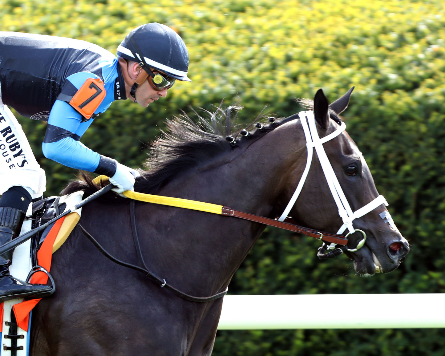 IN OUR TIME - The Giant's Causeway Grade 2 - 04-12-26 - R07 - KEE - Finish 03 - Coady Media - Kurtis Coady Photography