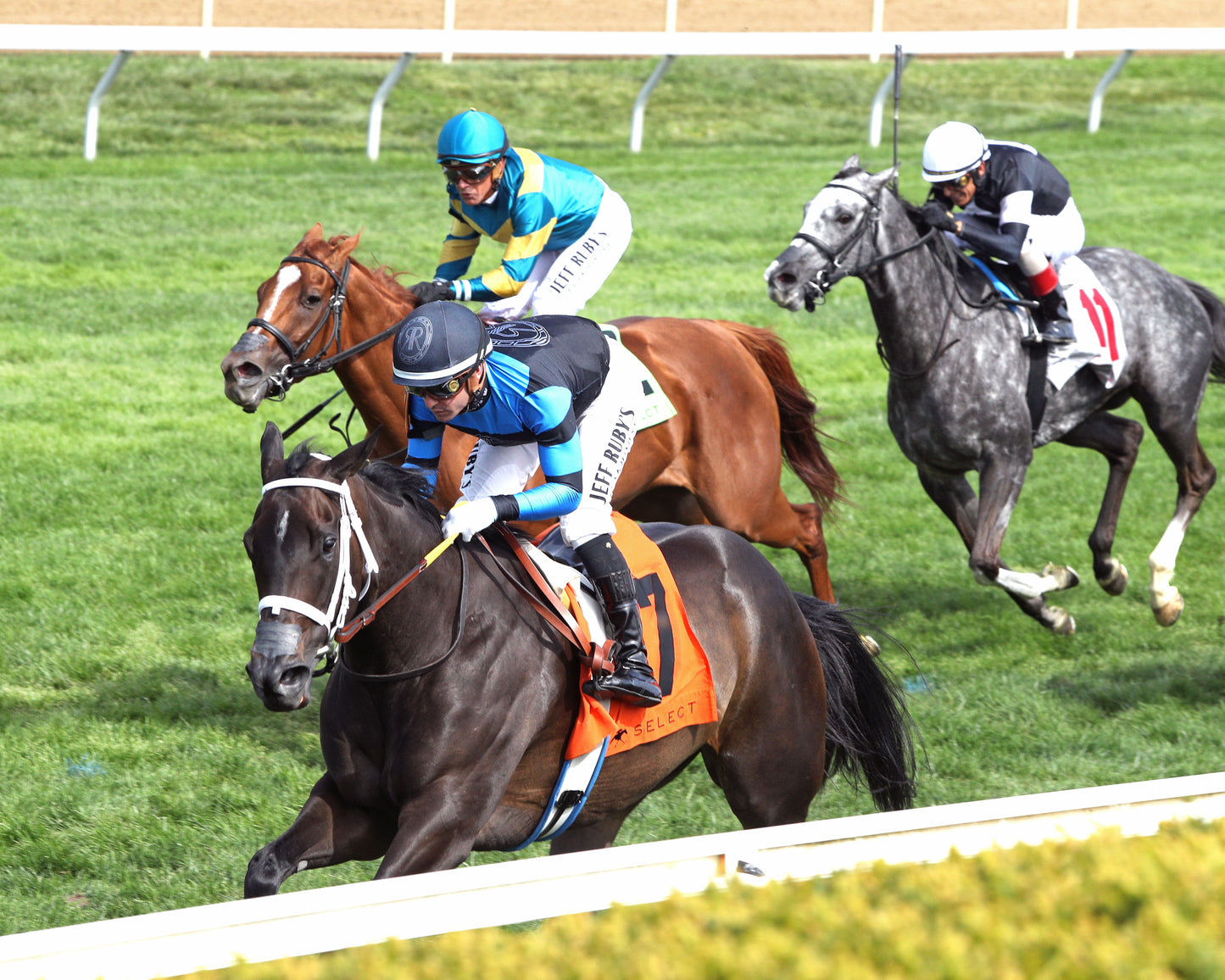 IN OUR TIME - The Giant's Causeway Grade 2 - 04-12-26 - R07 - KEE - Inside Finish 01 - Coady Media - Kurtis Coady Photography