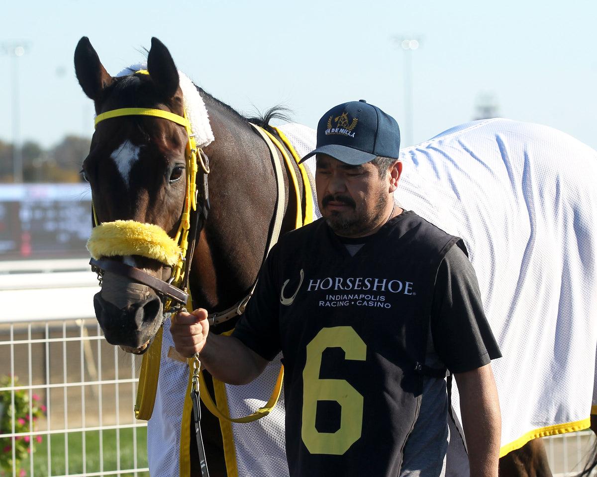 ITZFOREVER - Fireball Baby Overnight Handicap - 2nd Running - 10-28-26 - R07 - Horseshoe Indiana - Paddock 01 - Casey Cable