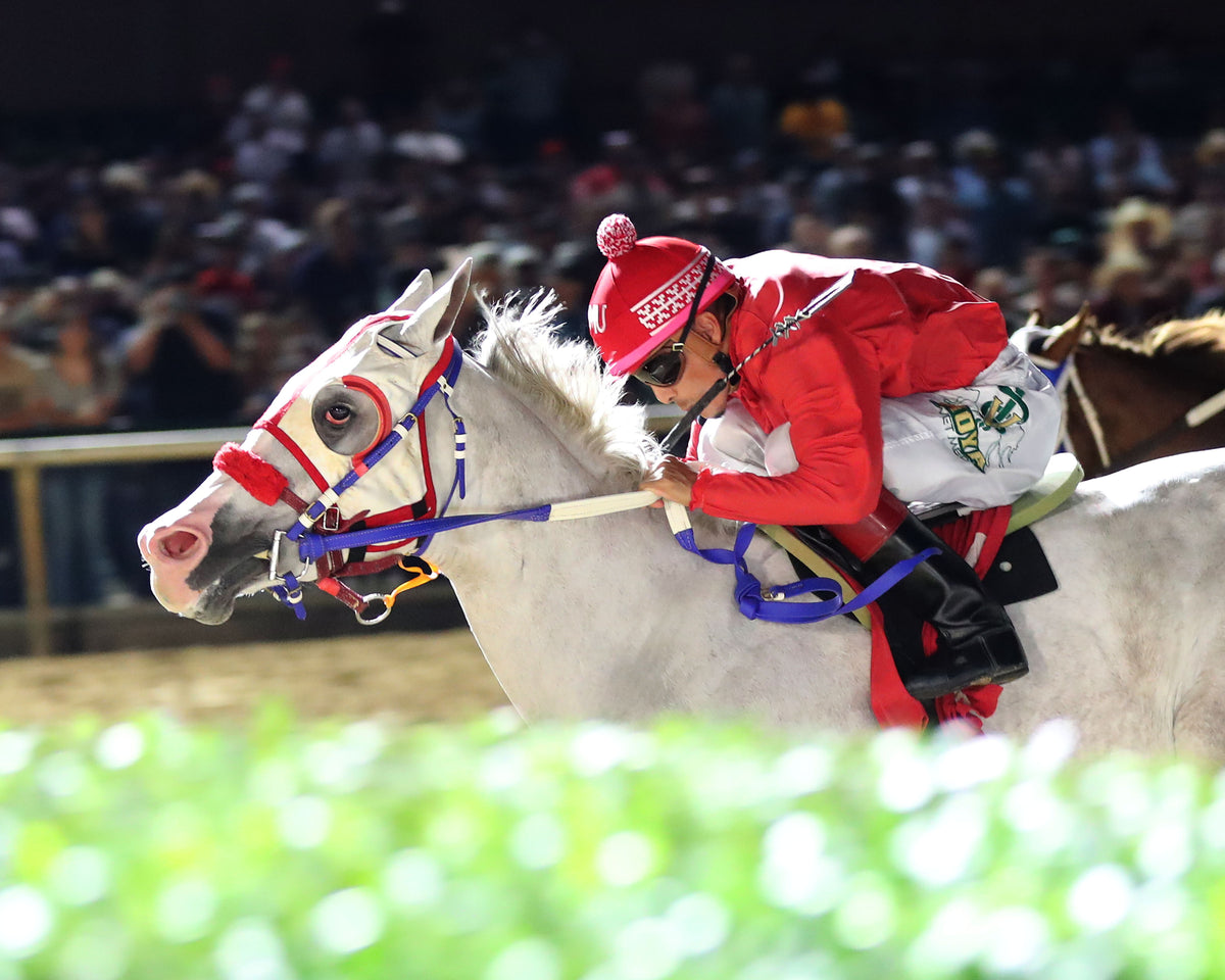 JC CANELO - Dash for Cash Juvenile Stakes - 10-10-26 - R08 - Lone Star Park - Inside Finish