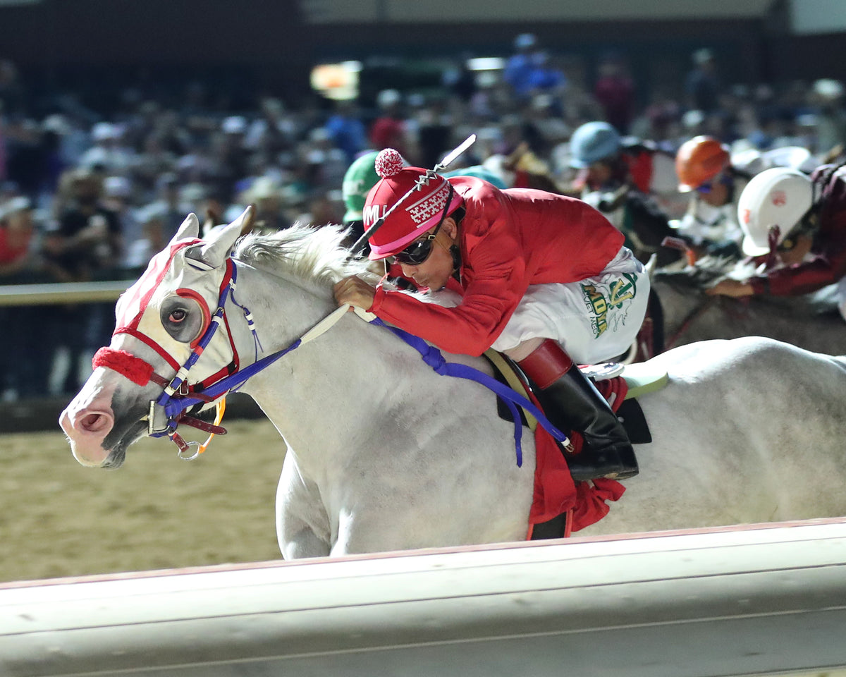 JC CANELO - Dash for Cash Juvenile Stakes - 10-10-26 - R08 - Lone Star Park - Inside Finish 2