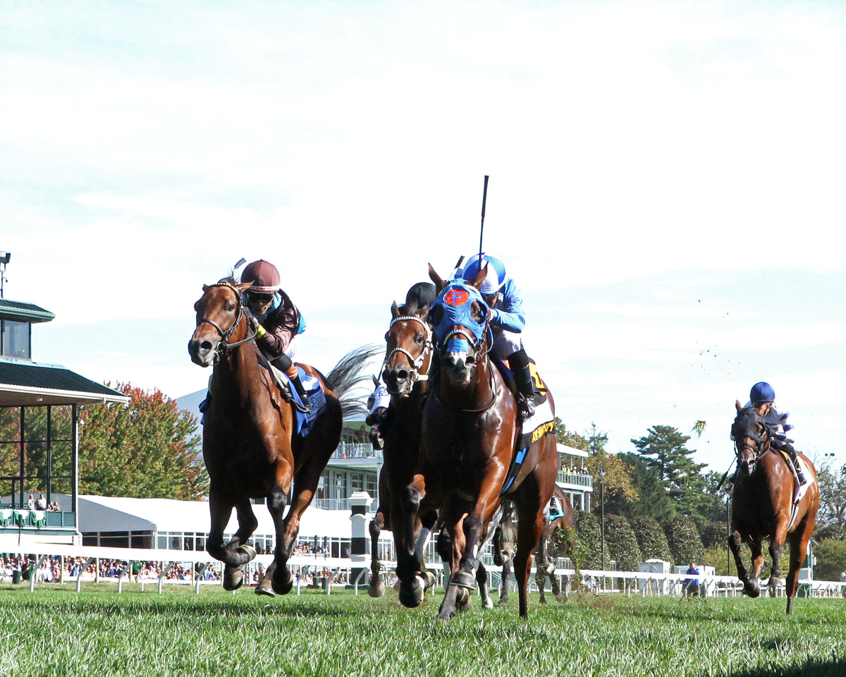 JOE SHIESTY - 100326 - Race 06 - KEE The Woodford Presented by FanDuel G2 - Under Rail 01