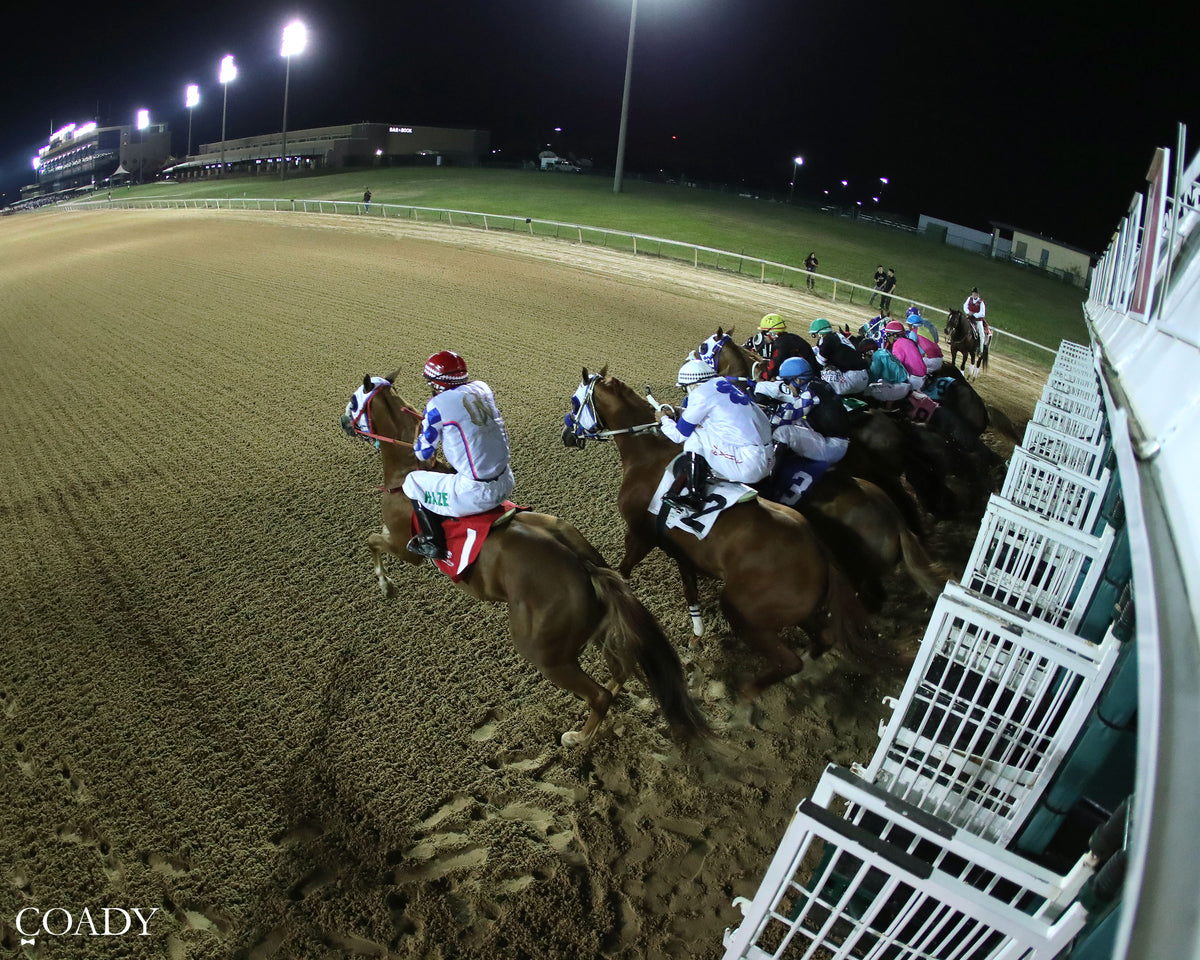 JT MIDLIFE CRISIS - Dash for Cash Futurity (Grade II) - 10-10-26 - R12 - Lone Star Park - Gate 02