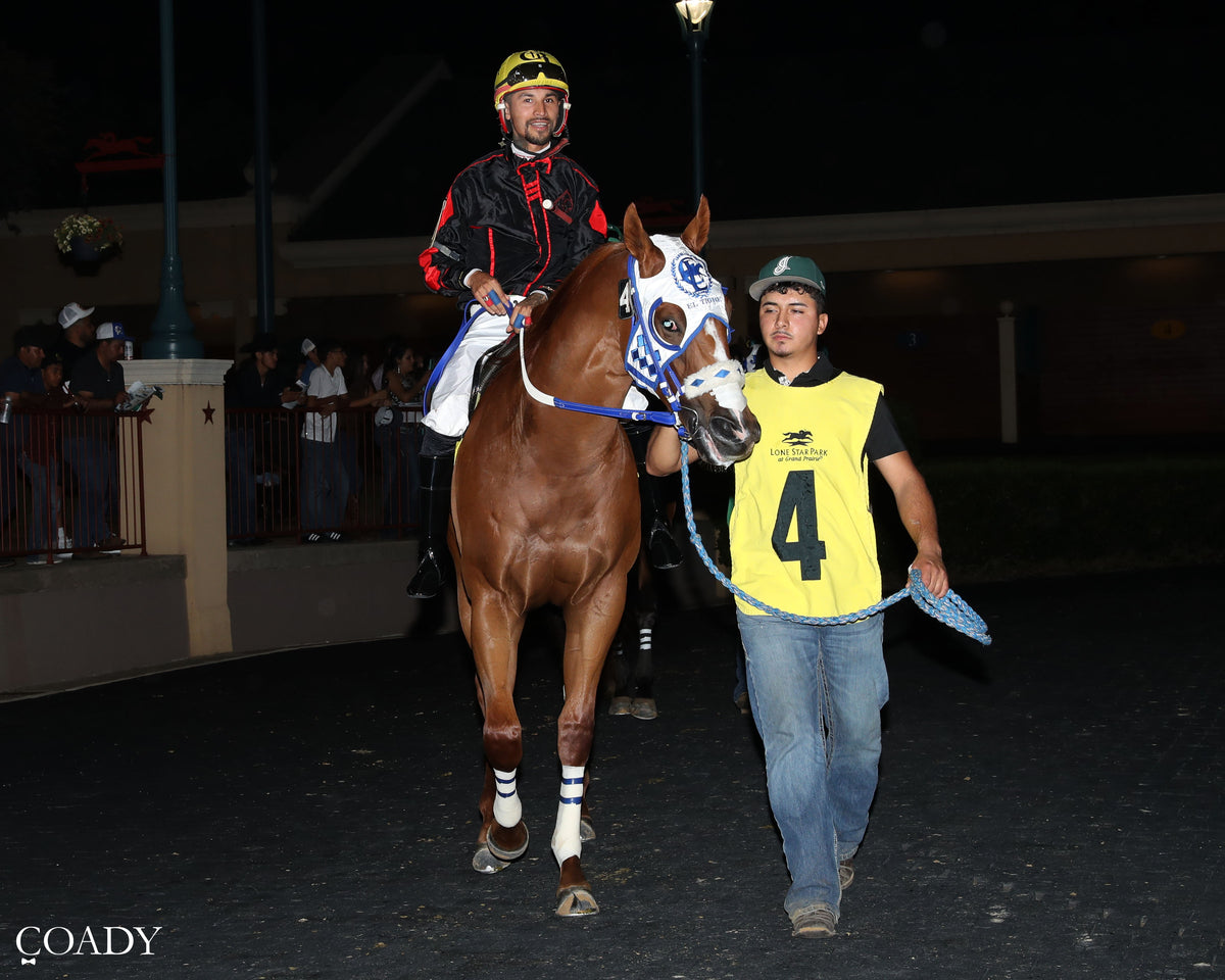 JT MIDLIFE CRISIS - Dash for Cash Futurity (Grade II) - 10-10-26 - R12 - Lone Star Park - Paddock 02