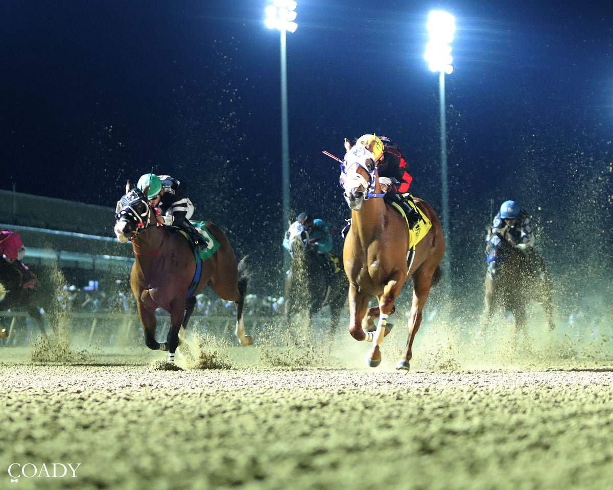 JT MIDLIFE CRISIS - Dash for Cash Futurity (Grade II) - 10-10-26 - R12 - Lone Star Park - Under Rail
