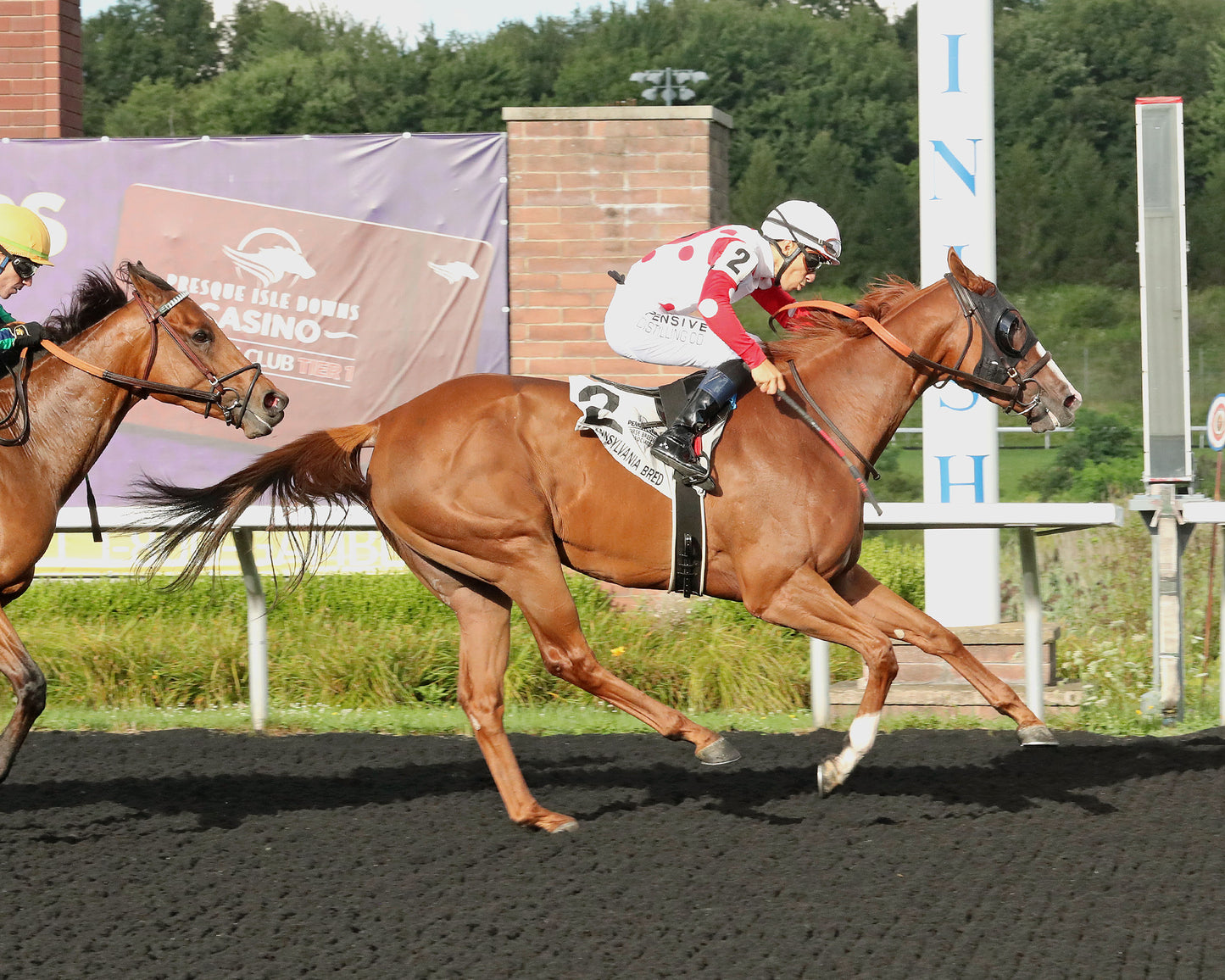 JUSTIFIABLE STEEL - The Princess of Sylmar Stakes - 08-17-26 - R07 - PID - Finish