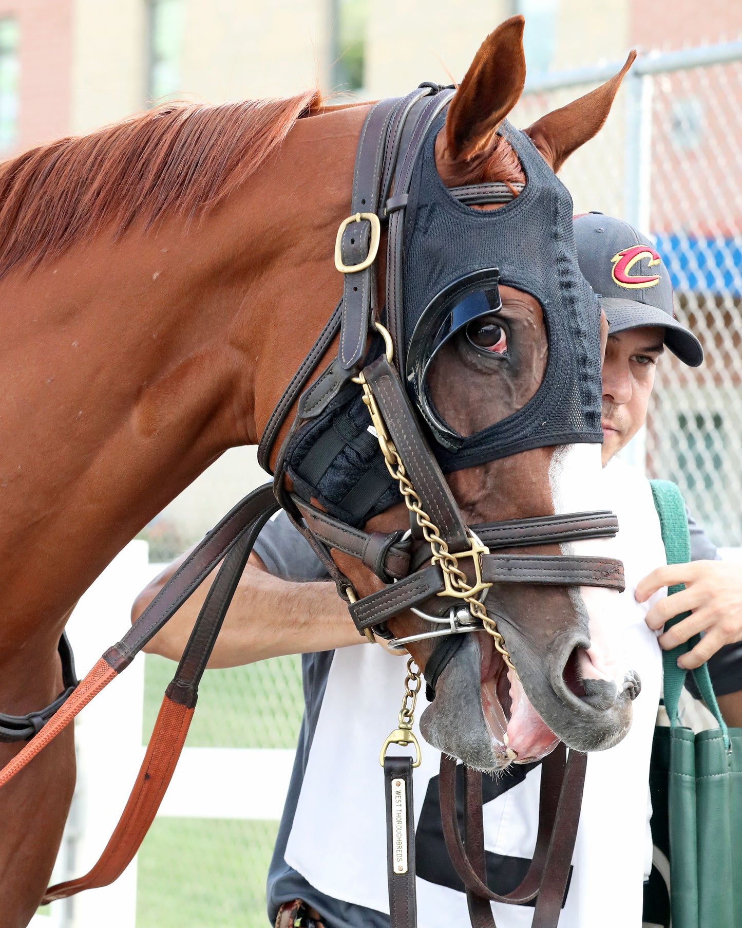 JUSTIFIABLE STEEL - The Princess of Sylmar Stakes - 08-17-26 - R07 - PID - Paddock 01
