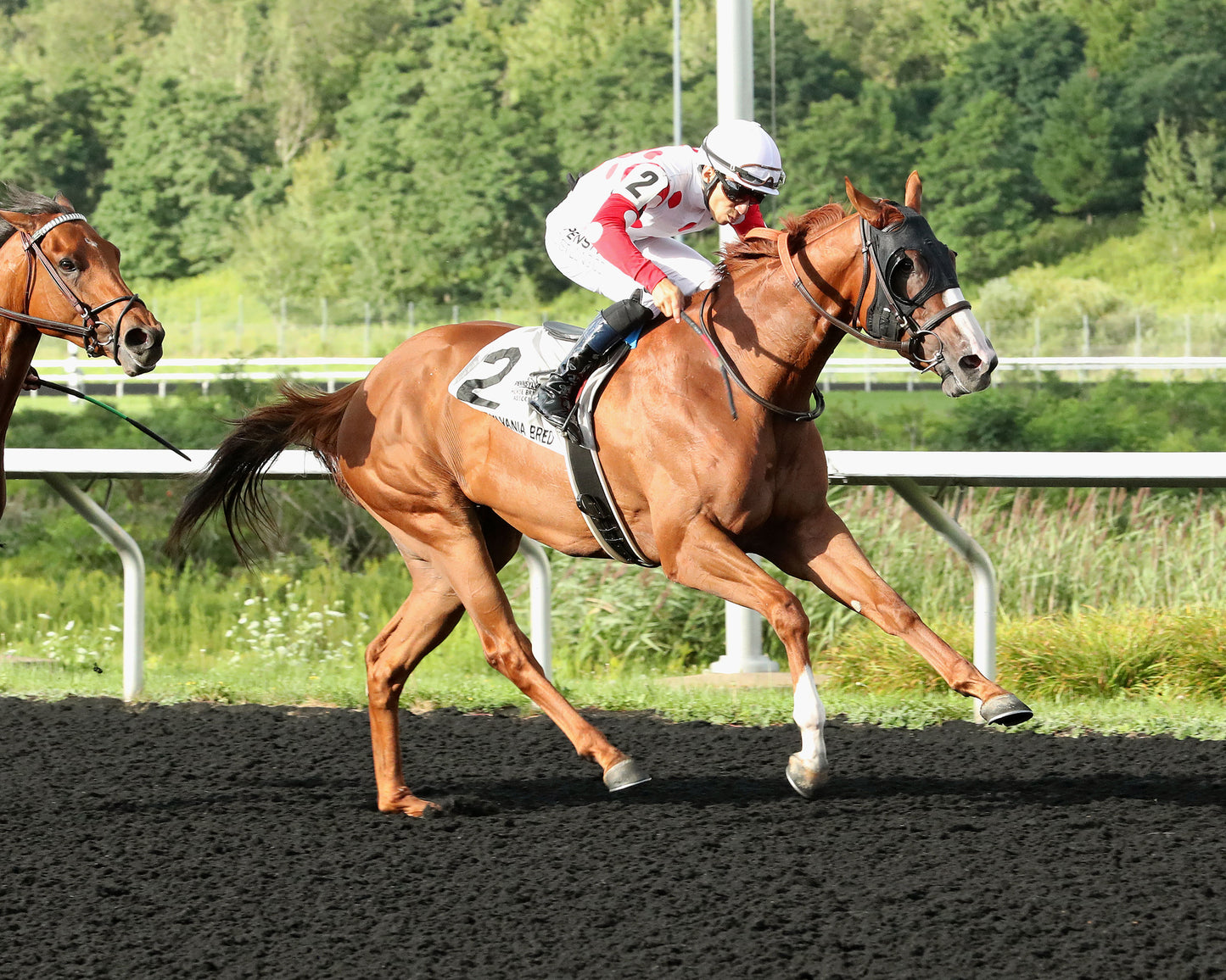 JUSTIFIABLE STEEL - The Princess of Sylmar Stakes - 08-17-26 - R07 - PID - Tight Finish
