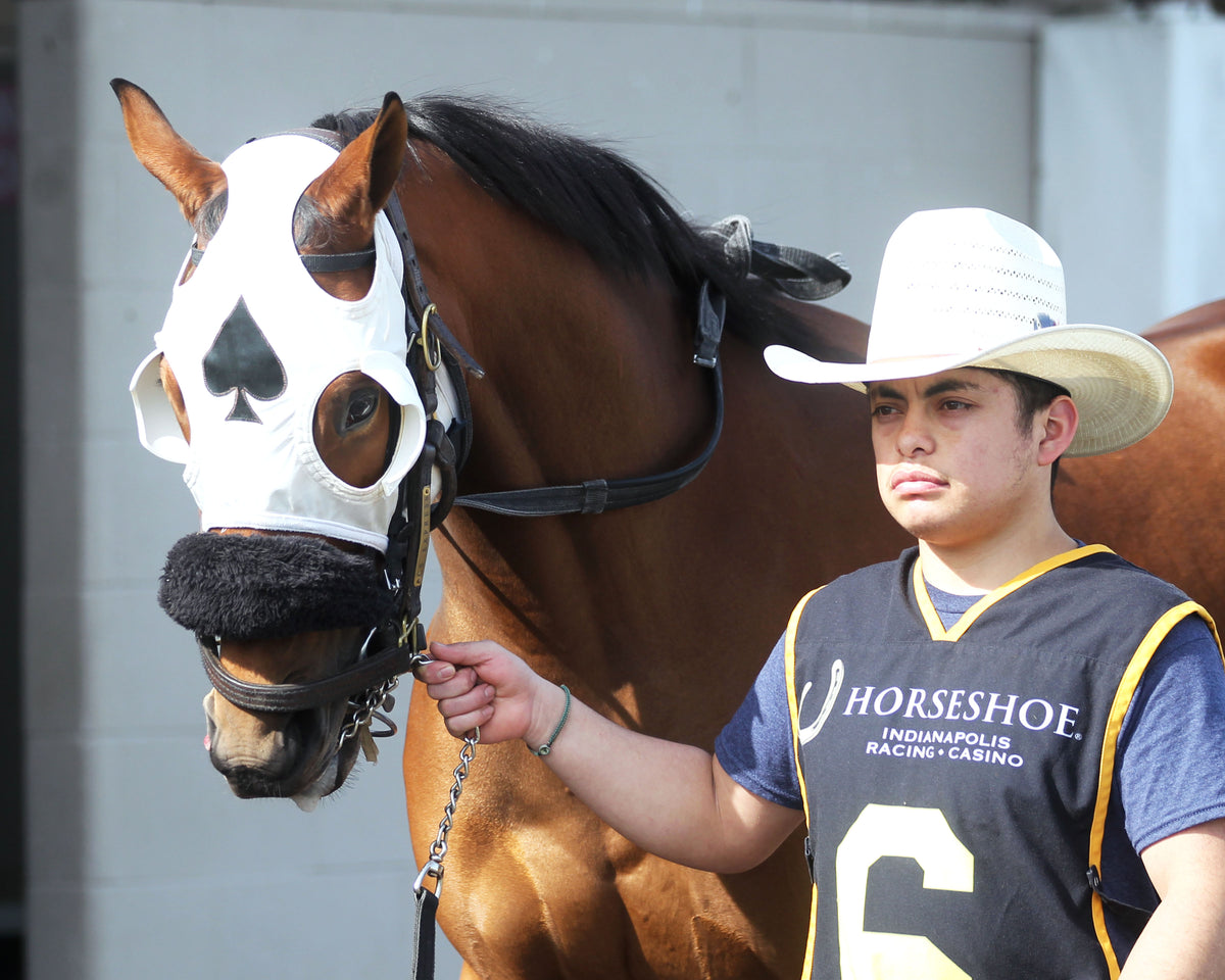 KANSASCITYJUSTICE - Crown Ambassador - 28th Running - 10-24-26 - R05 - Horseshoe Indiana - Paddock 01 - Casey Cable