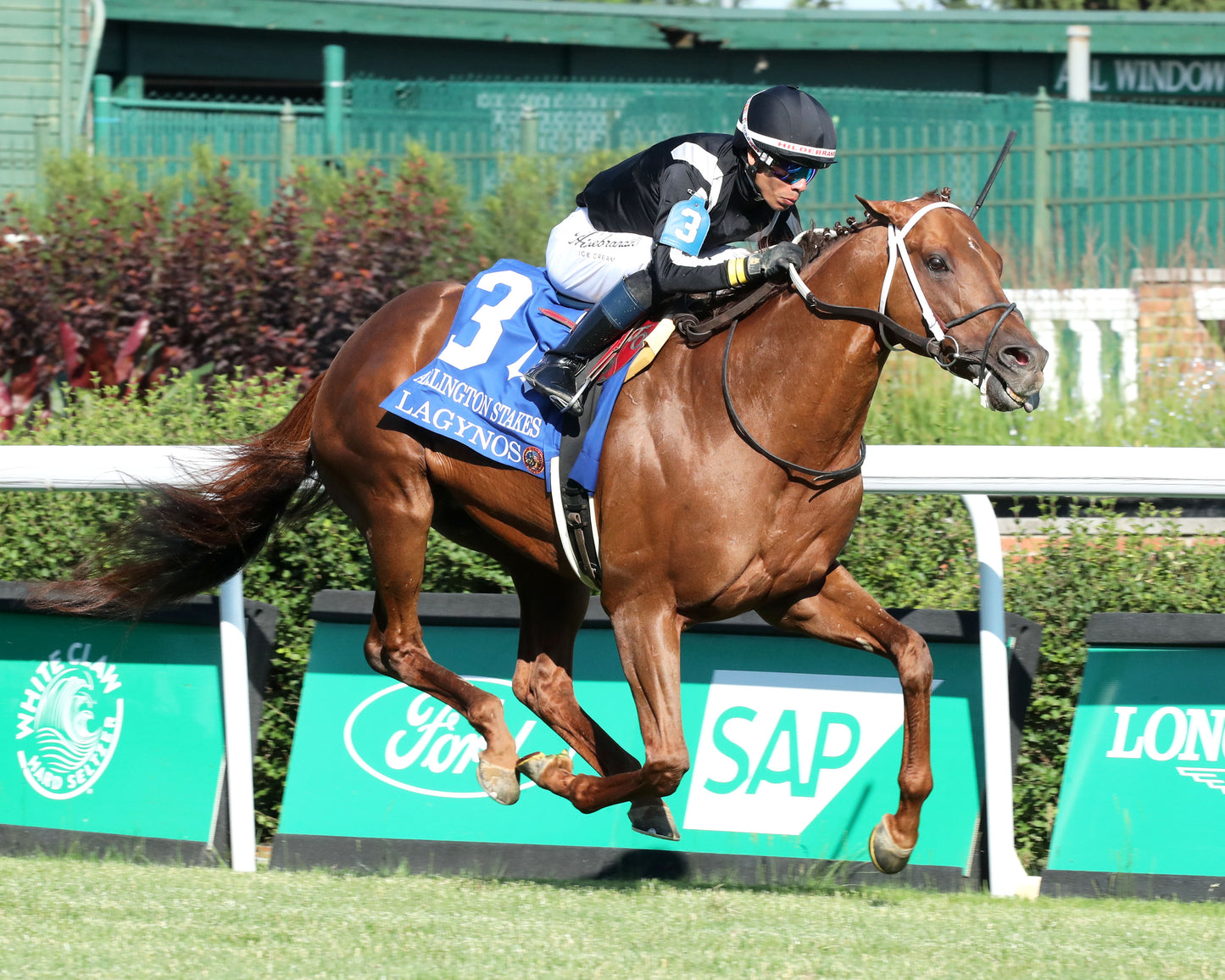 LAGYNOS - 053026 - Race 11 - CD The Arlington Stakes G3 - Finish 02