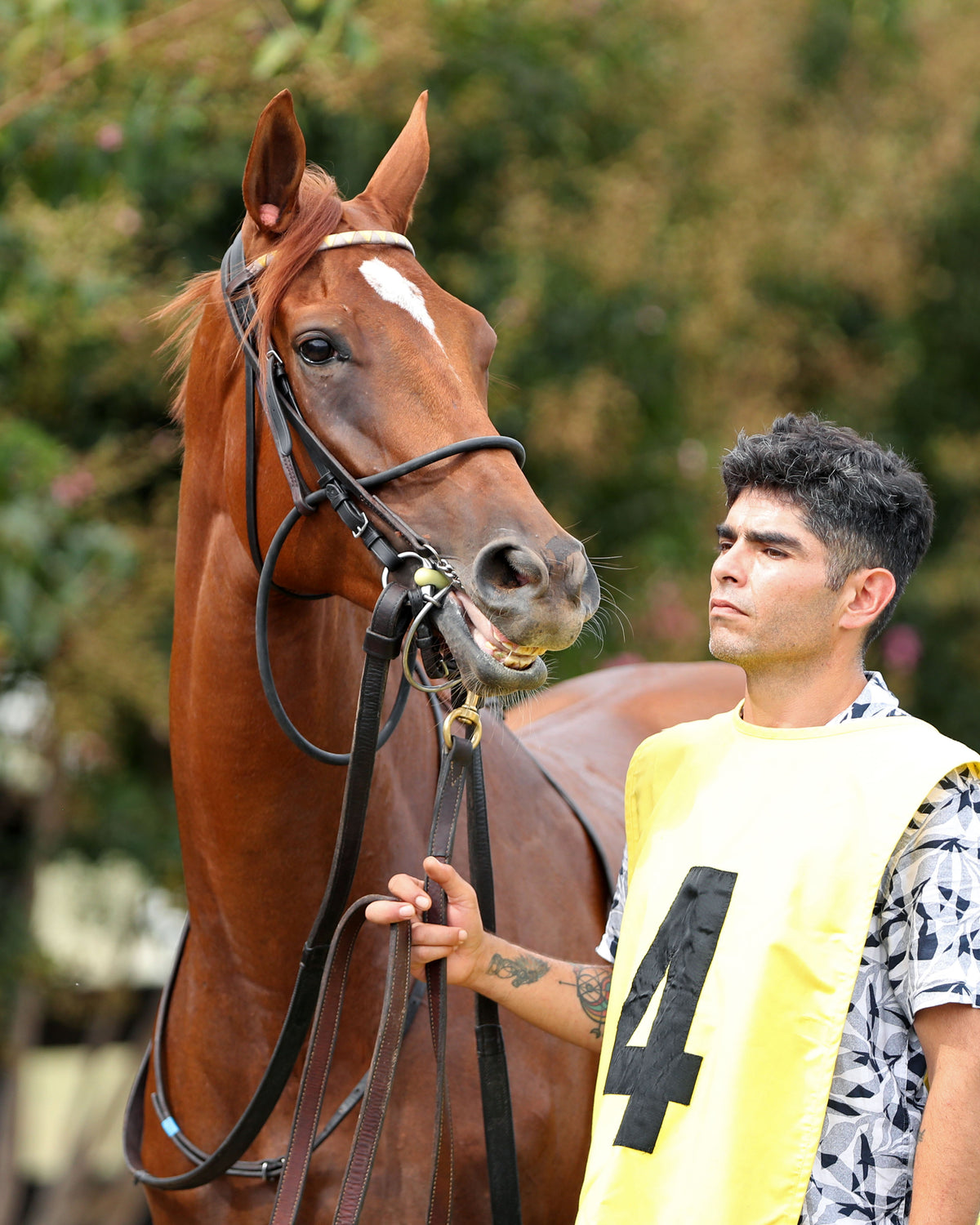 LAIGINA - The Lucky Lantern - 09-07-26 - R08 - KD - Paddock 01