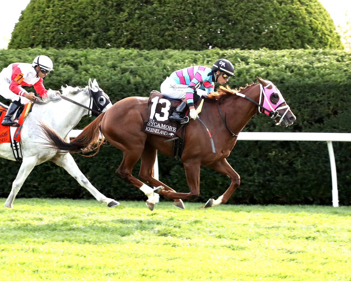 LAMBETH - The Sycamore G2 - 10-09-26 - R09 - KEE - Finish 01