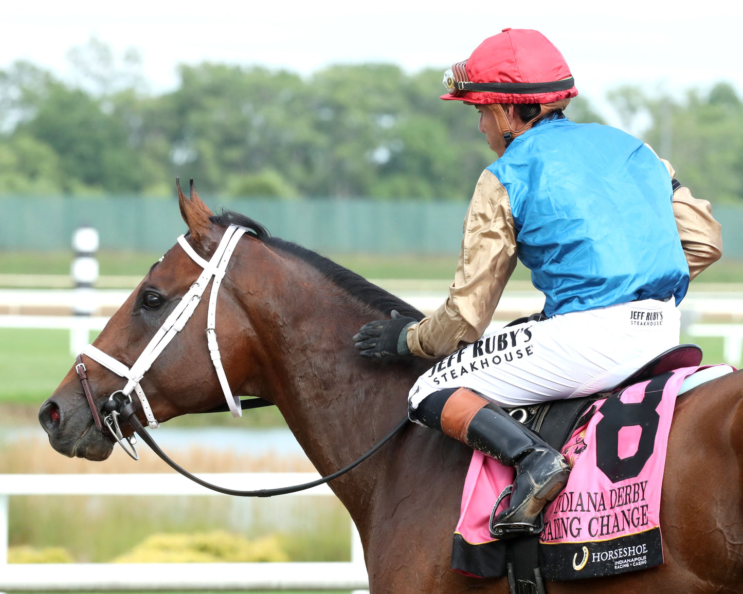 LEADING CHANGE - Indiana Derby - G3 - 07-11-26 - R12 - Horseshoe Indiana - Come Back 01 - Renee Torbit