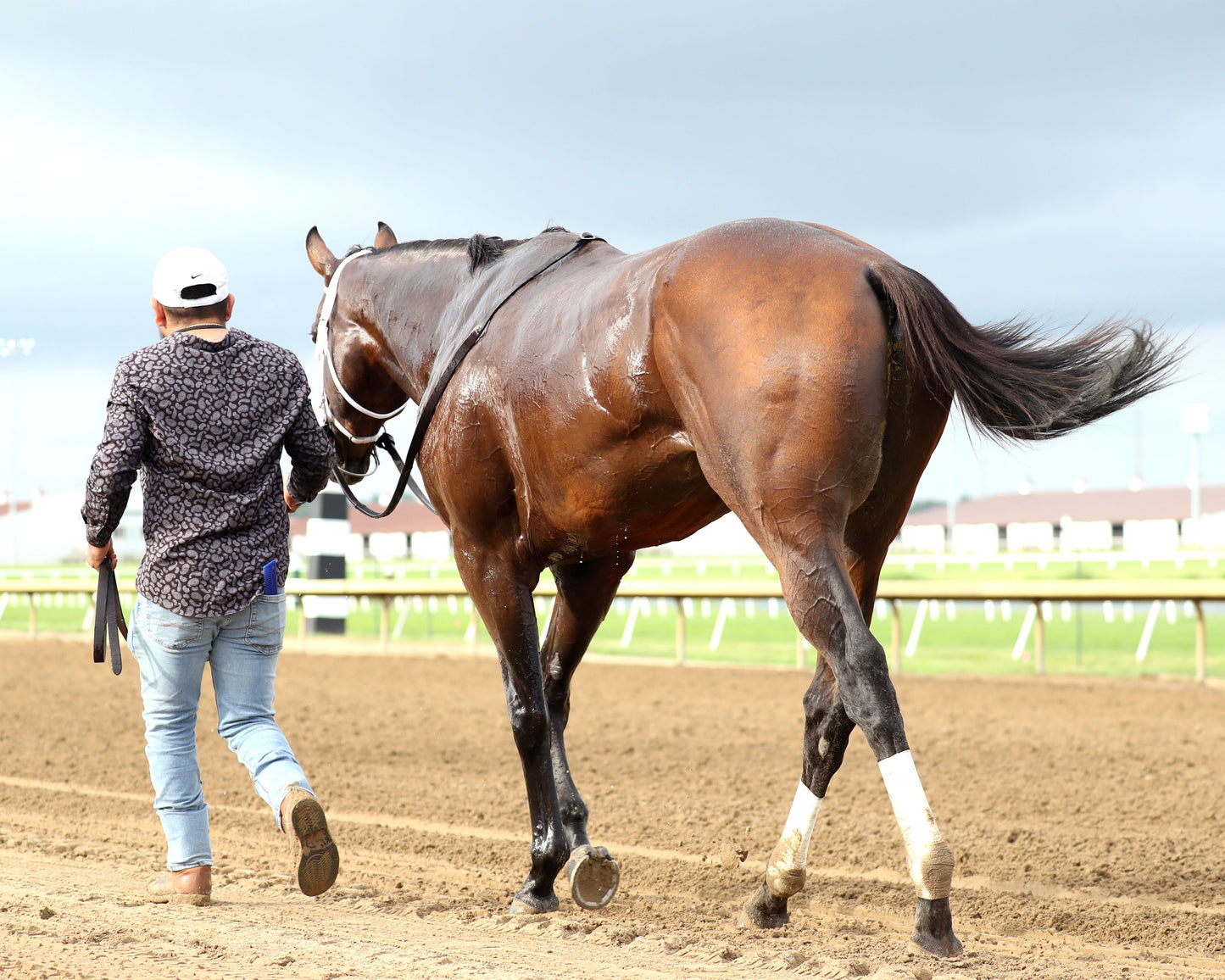 LEADING CHANGE - Indiana Derby - G3 - 07-11-26 - R12 - Horseshoe Indiana - Walk Back 04 - Cady Coulardot