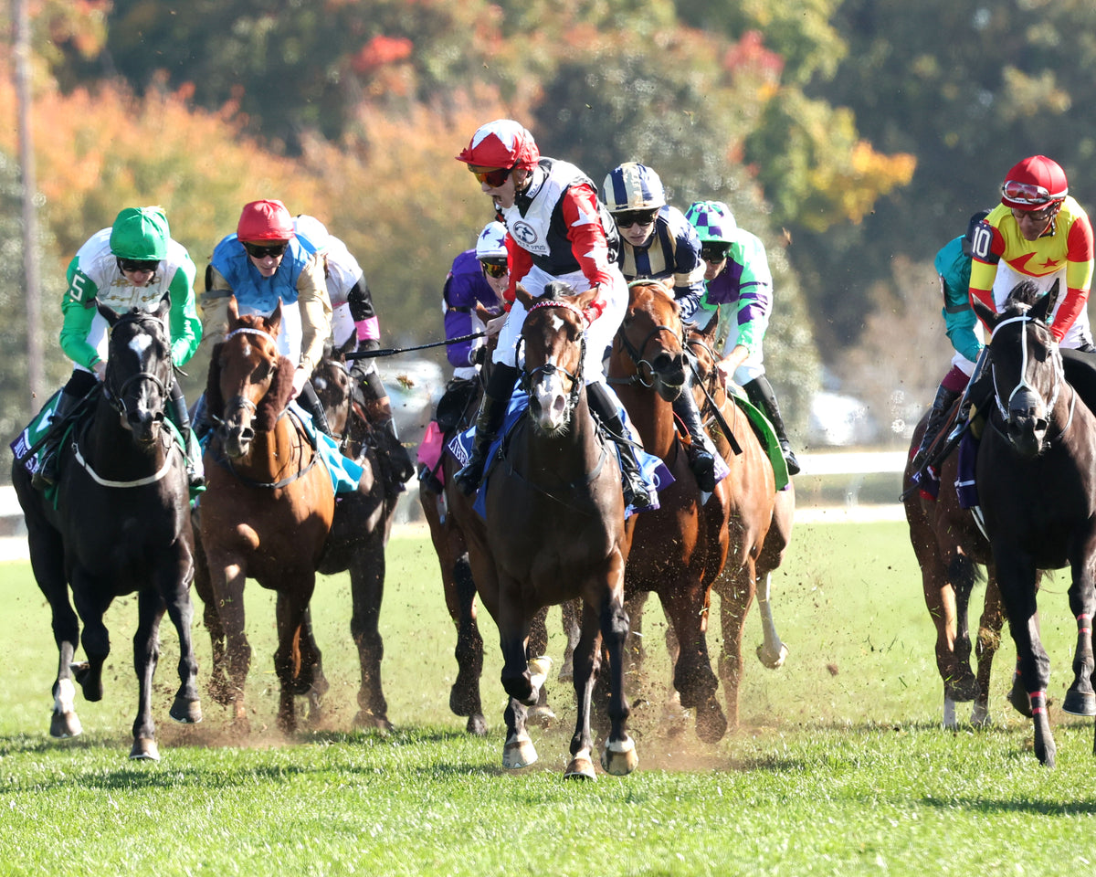 LIBERTANGO - Breeders' Cup Juvenile Turf Sprint G1 - 10-30-26 - R06 - Keeneland Race Course - Celebration 01 - Hunter Fridley - Coady Media - Kurtis Coady Photography