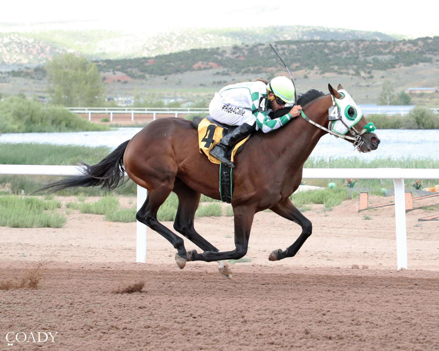 LION THRONE - John Schiffer Memorial TB Derby - 06-27-26 - R10 - WYO