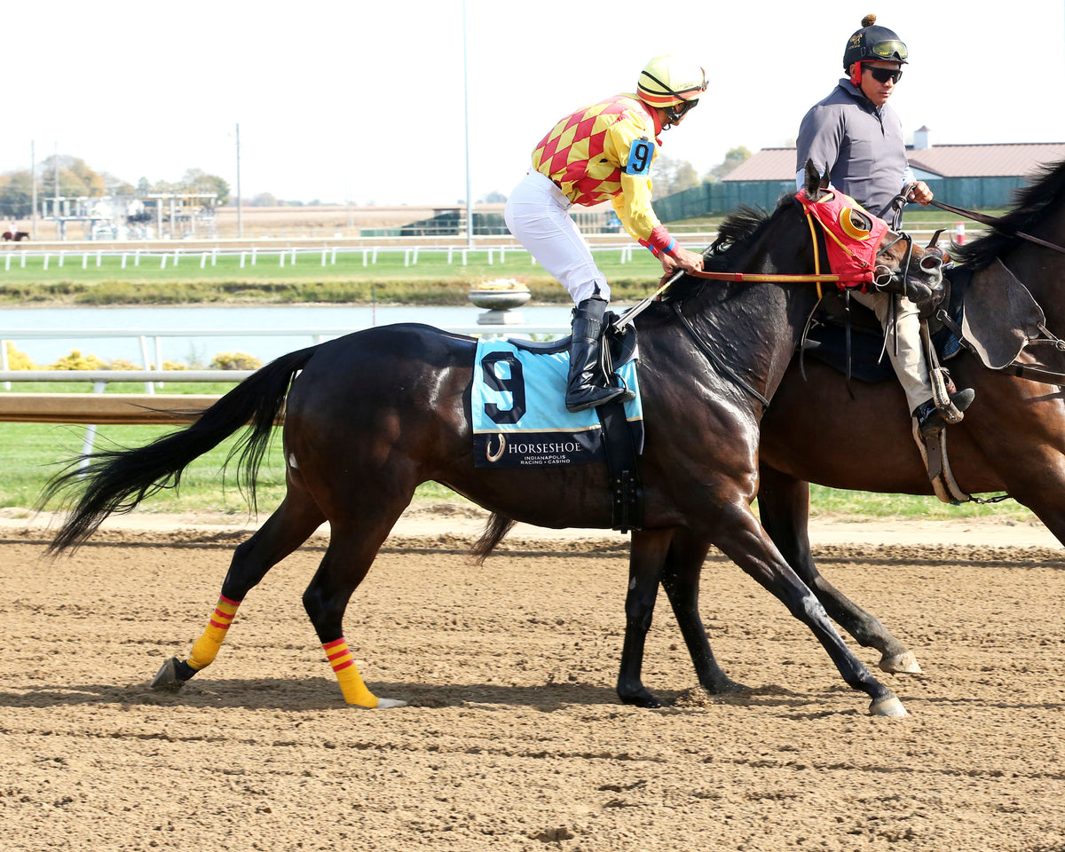 LITTLERANSOMSFIRE - Kim Hammond Overnight Handicap - 3rd Running - 10-24-26 - R02 - Horseshoe Indiana - Post Parade 01 - Sammantha Pagels
